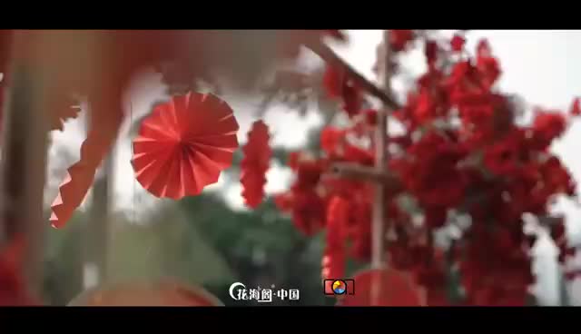 户外婚礼 | 农村自家院子婚礼