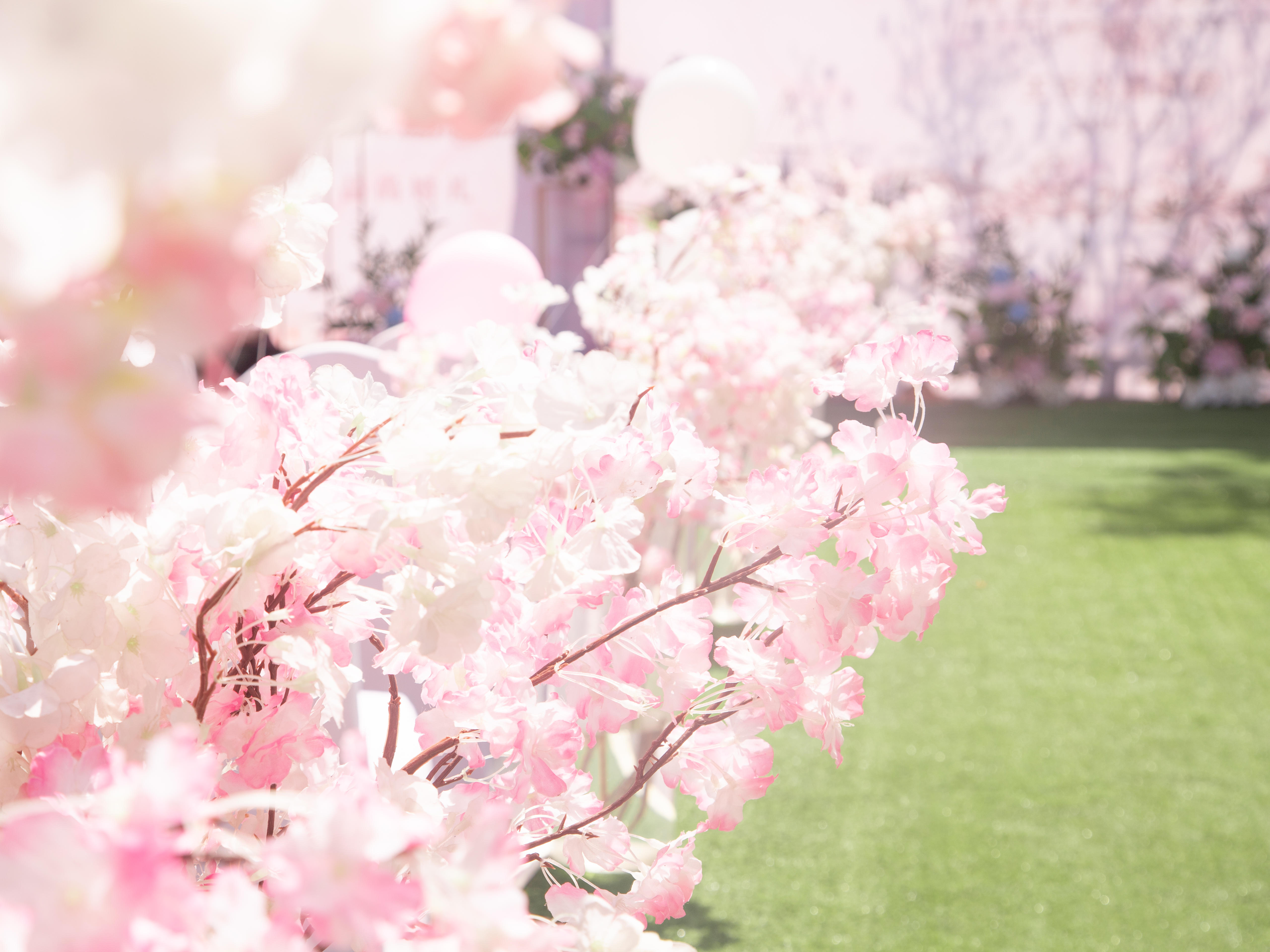 户外家宴 一价全包 特价套餐