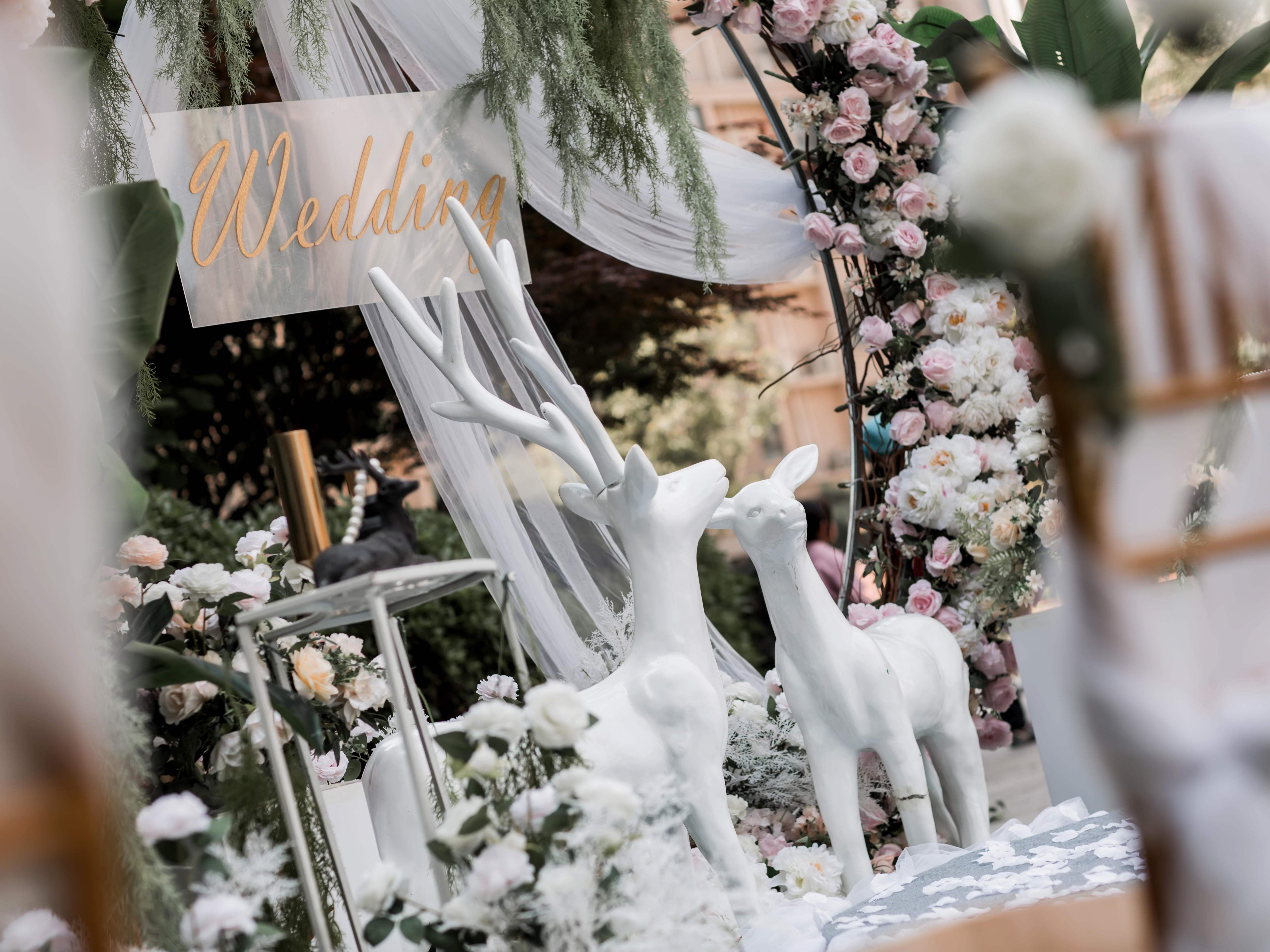 皇城铂嘉婚礼--清新户外