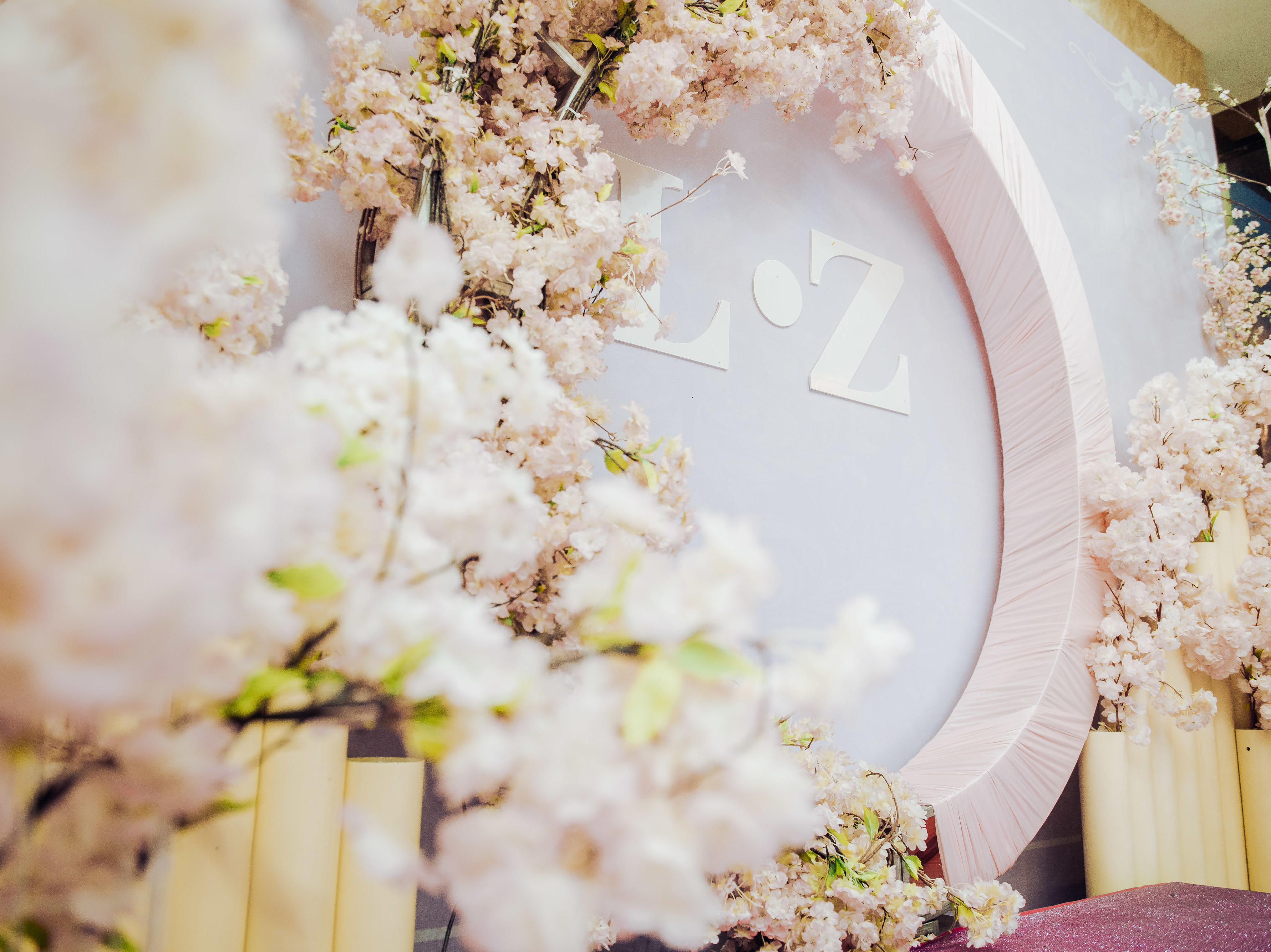 小清新淡粉色主题套系 （含主持人，摄像，节目）