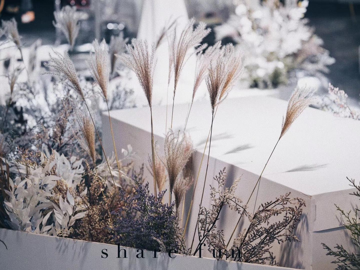 从living到life 遇见你，让爱回归自然