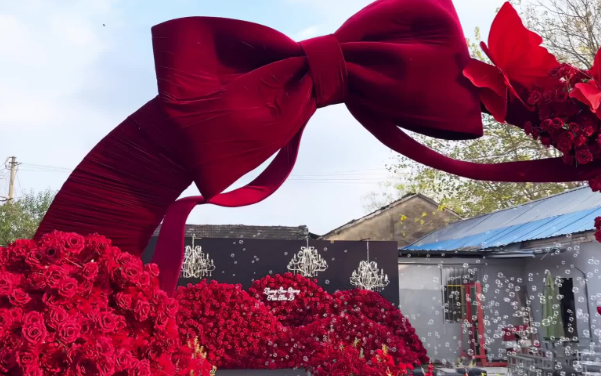 超火的玫瑰花墙蝴蝶结婚礼