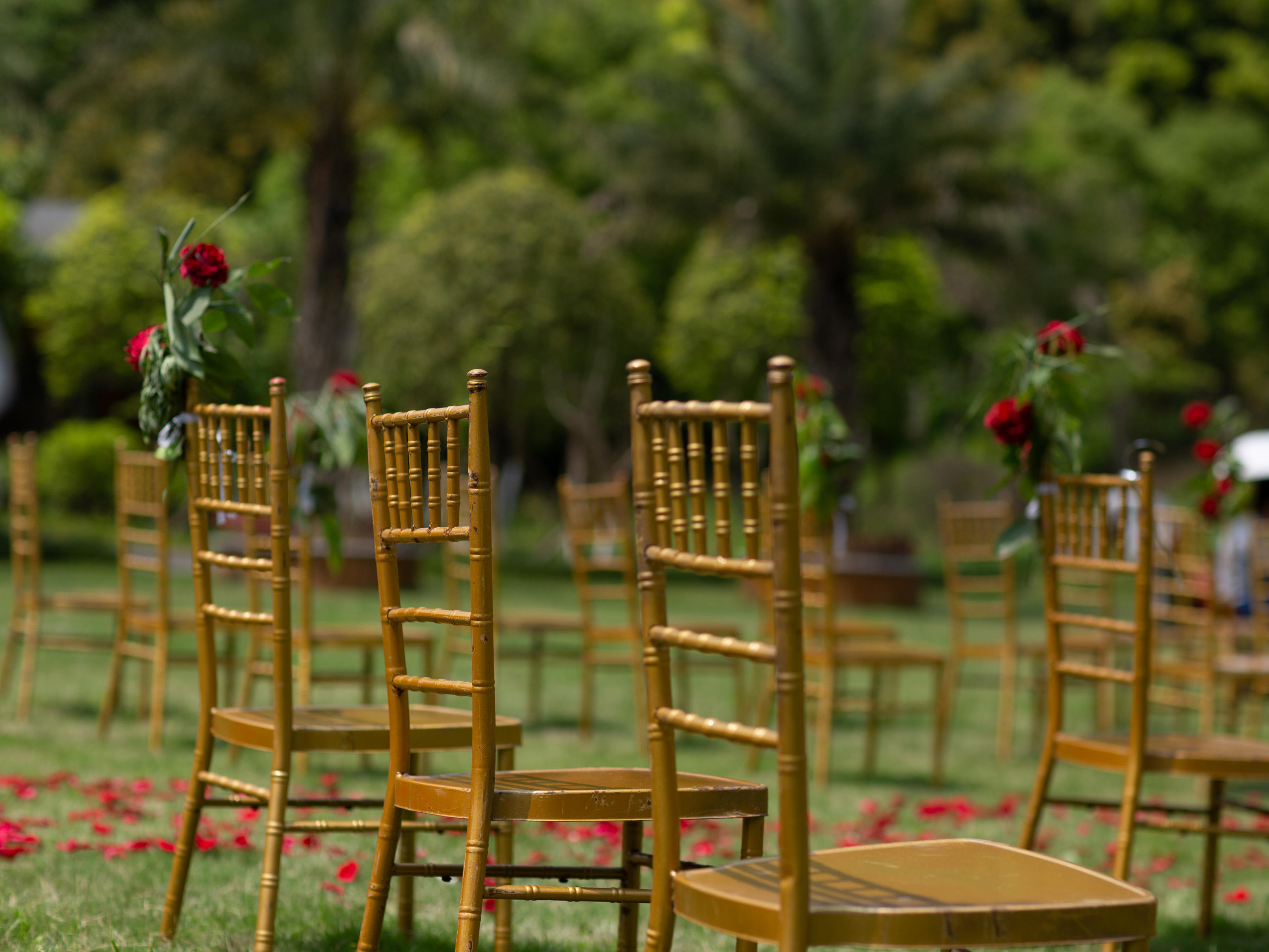 爱度婚礼————all in ·TH