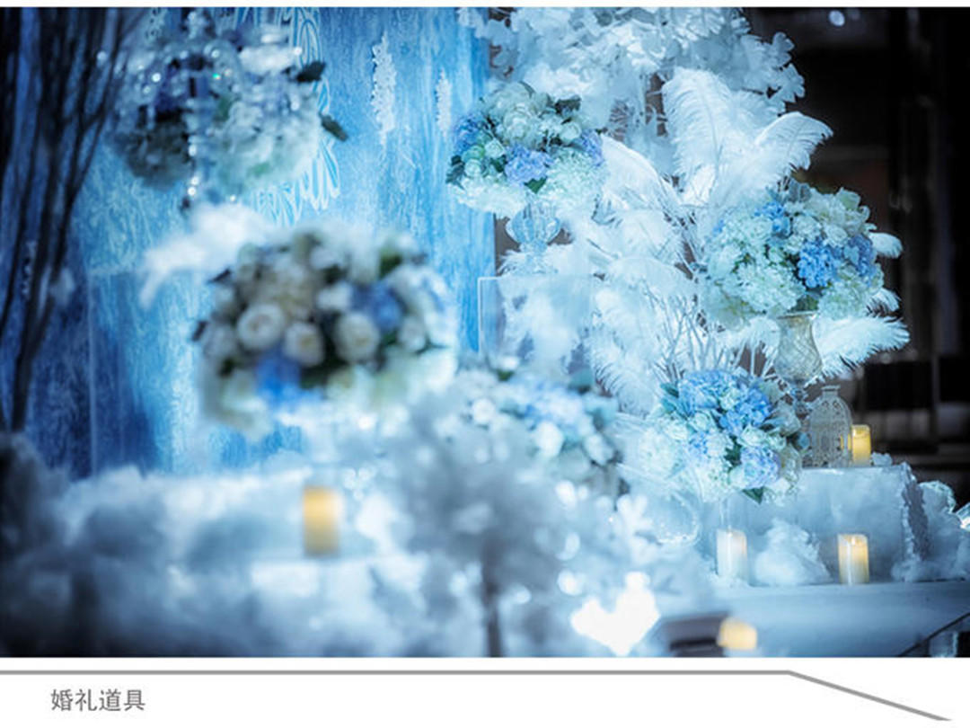 她他婚典   冰雪奇缘专场