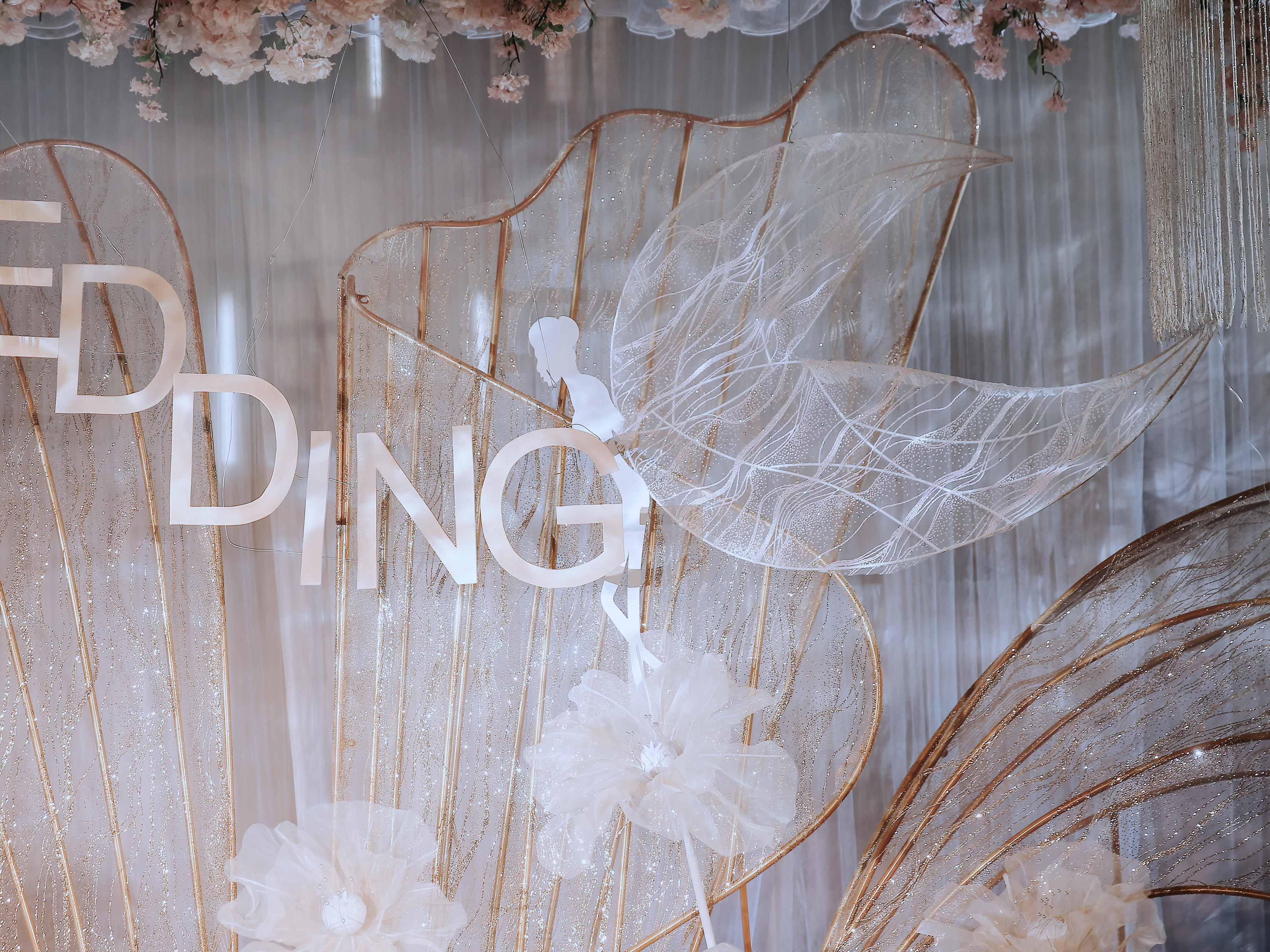 《爱情精灵》香槟色花瓣  