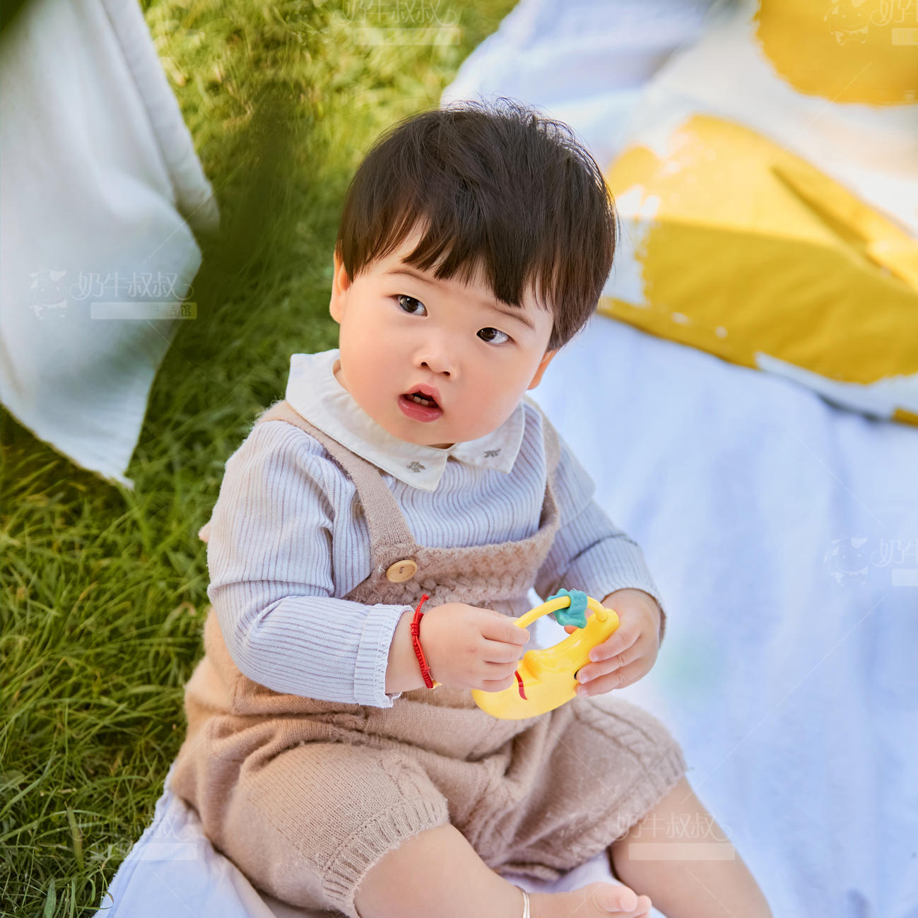 草地外景样品 萌萌的小宝宝