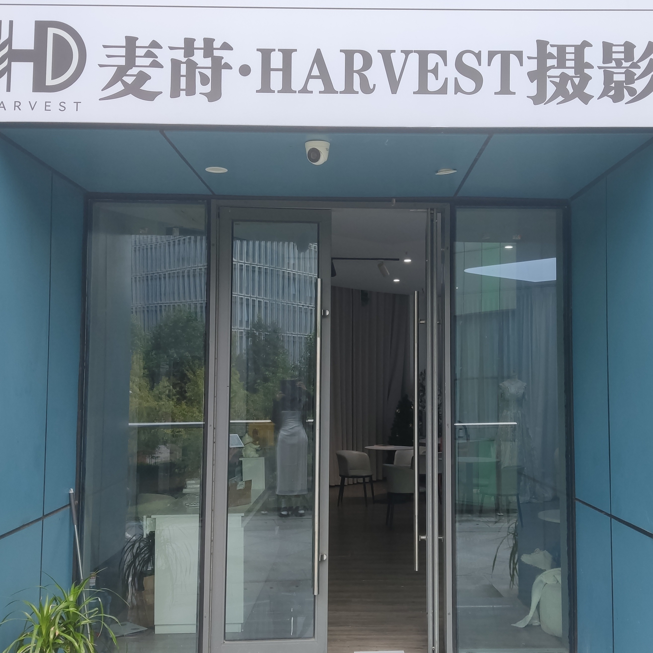 麦莳HARVEST