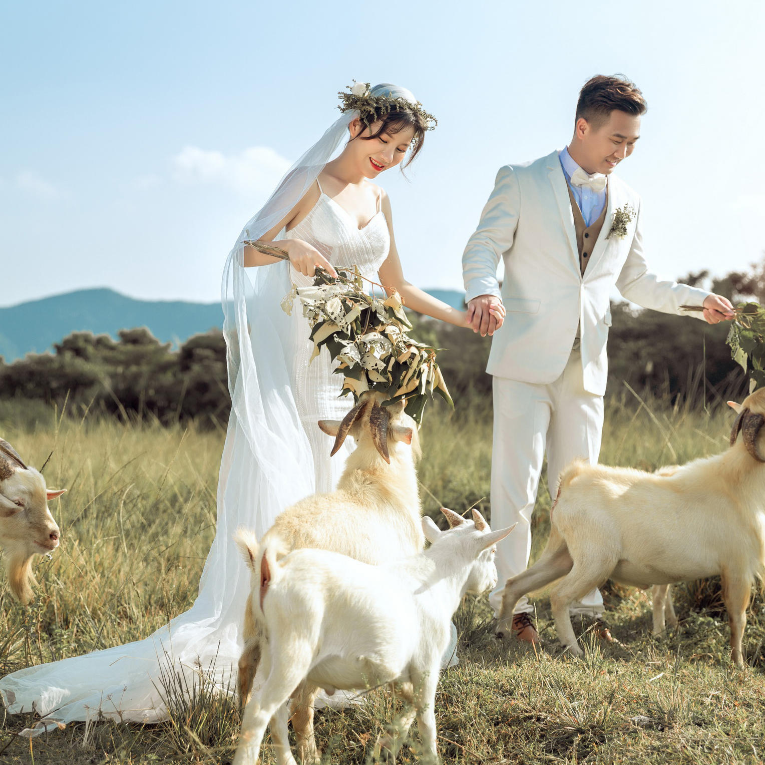 [经济套餐]清新内景+文艺森系+底片全送特价体验