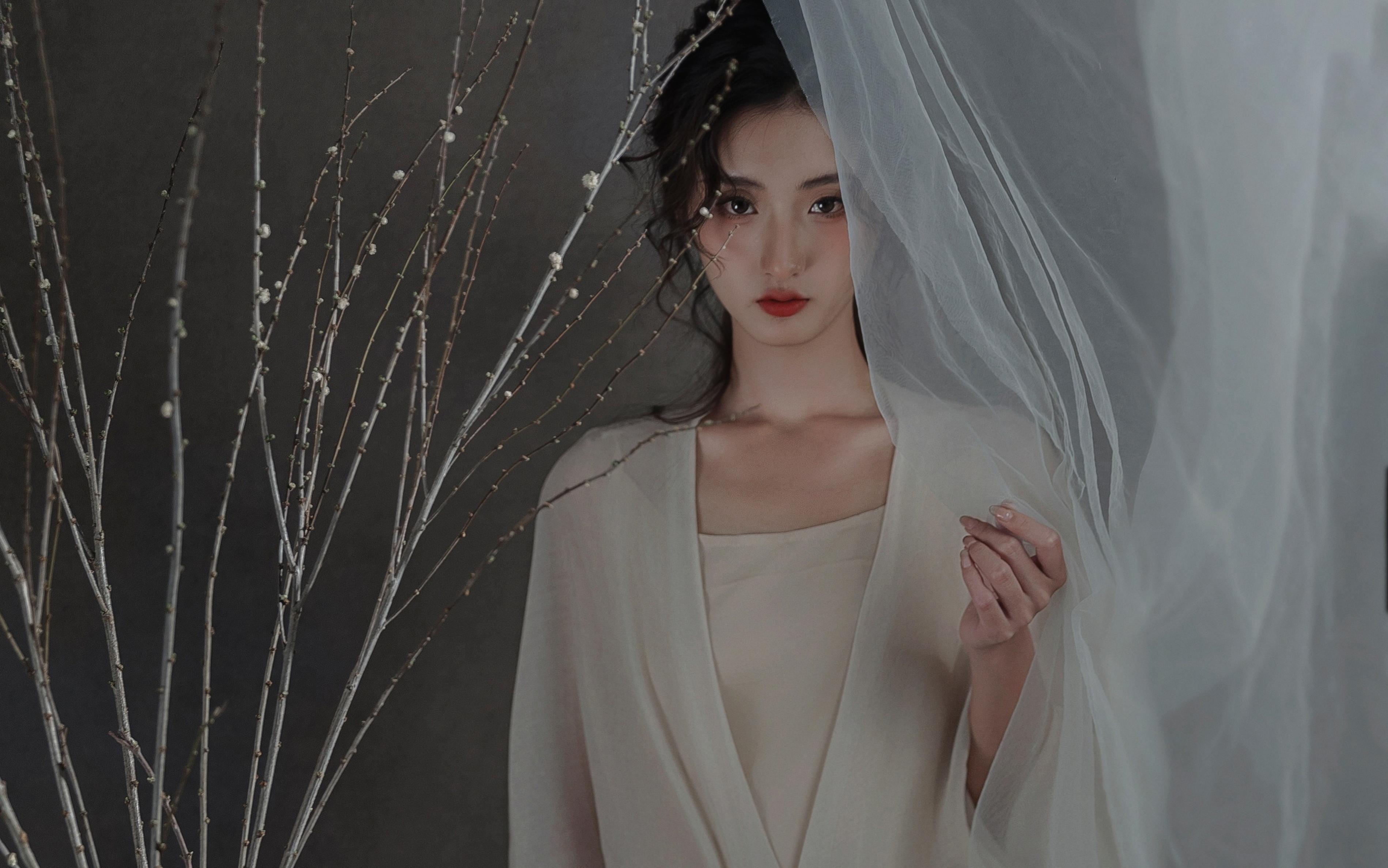 简QY