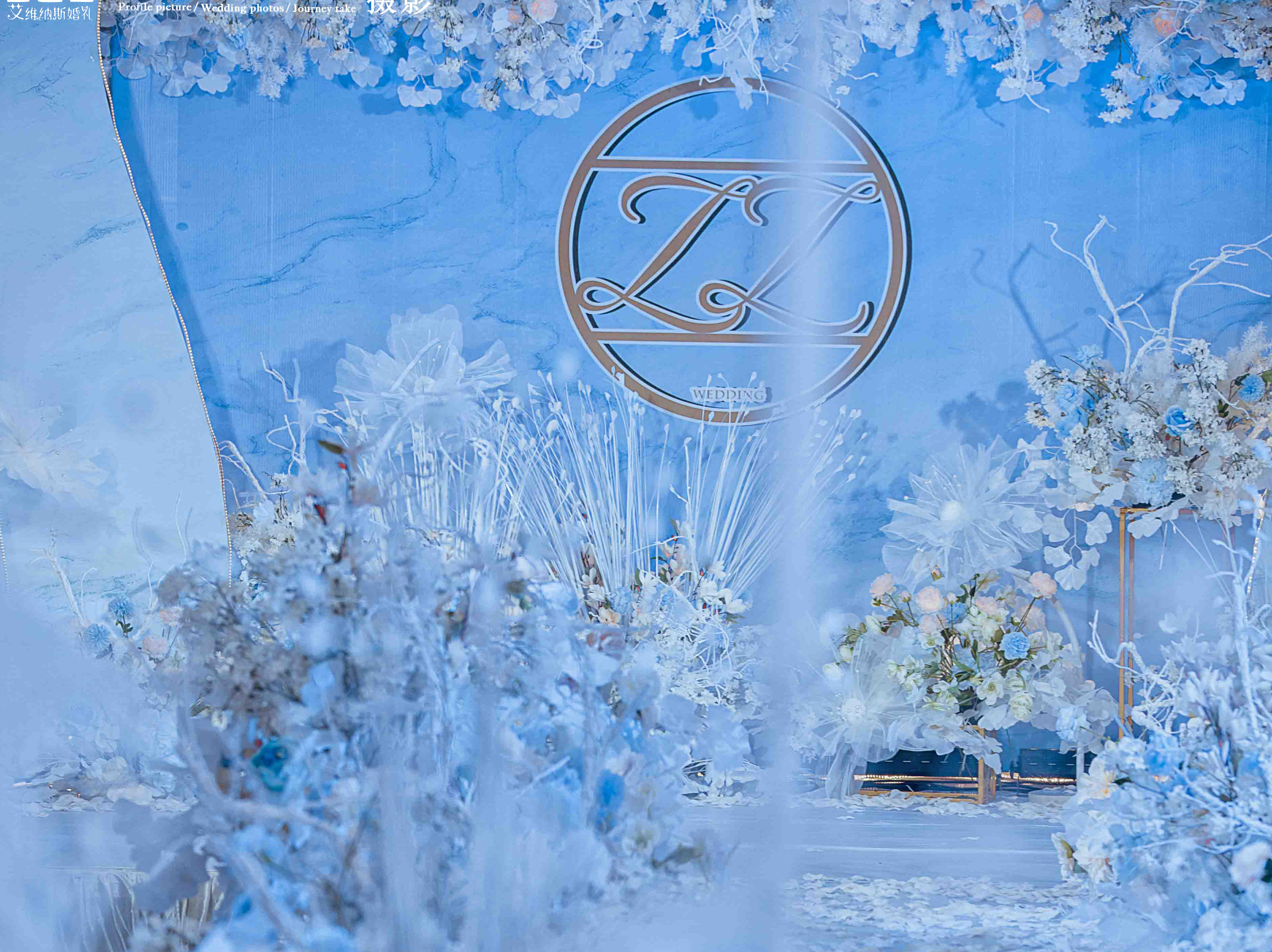 蓝色，白色，简洁，大方，纯粹