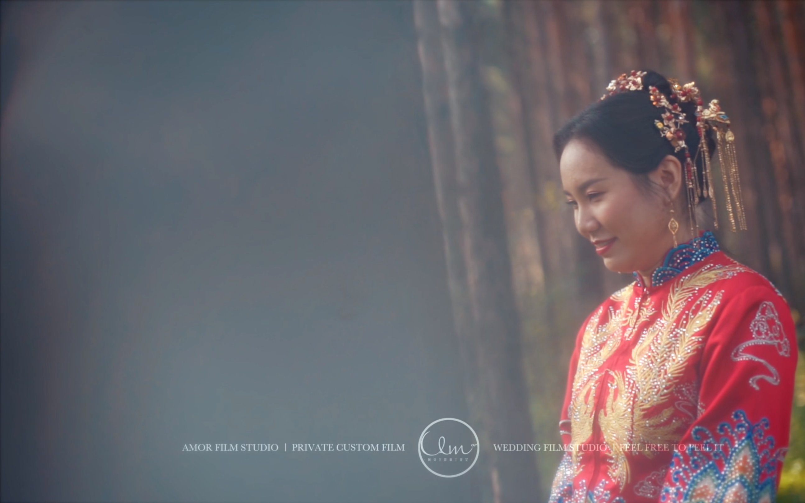 ZMY + CL - 婚礼快剪（阿莫尔影像）