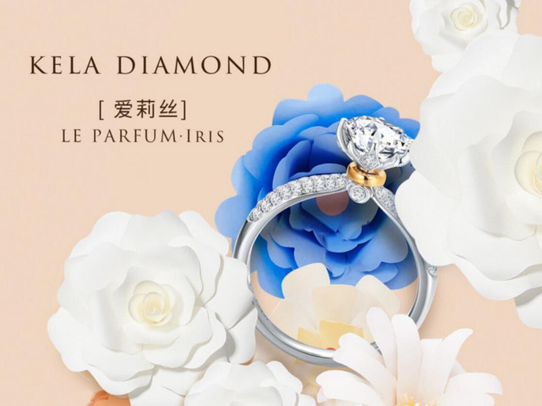 【香邂巴黎-苏菲娅】轻奢华，不惧过时