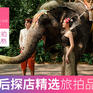 【西双版纳】含机票+旅拍婚纱照+网红景点+大象