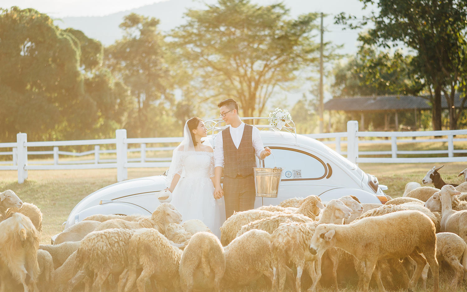 Maxvision高端定制--云南丽江旅拍