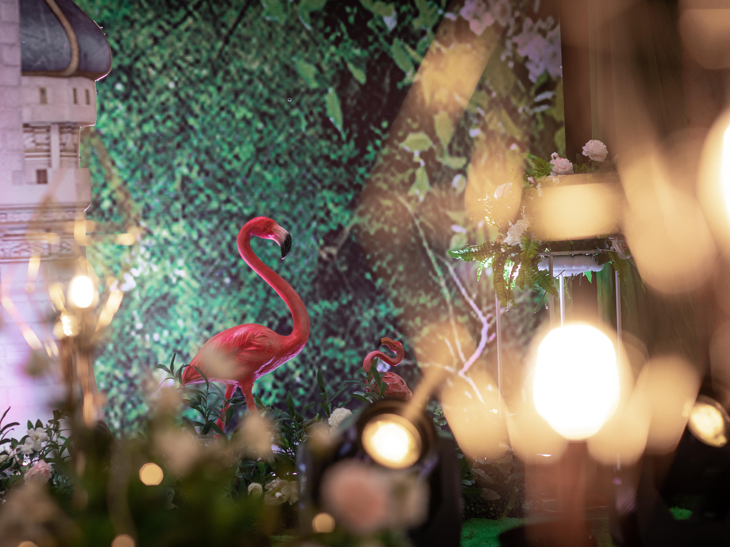 9999森系（含四大金钢）