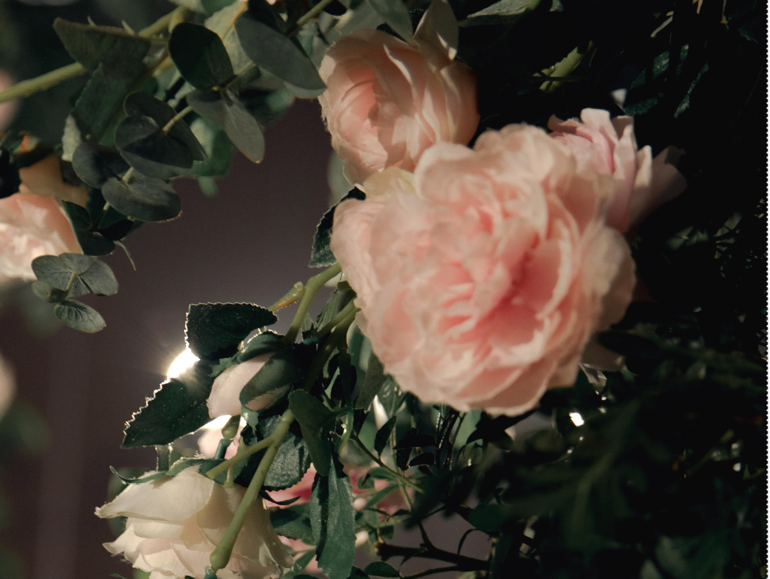 千百度『唐御花园酒店-一见钟情』