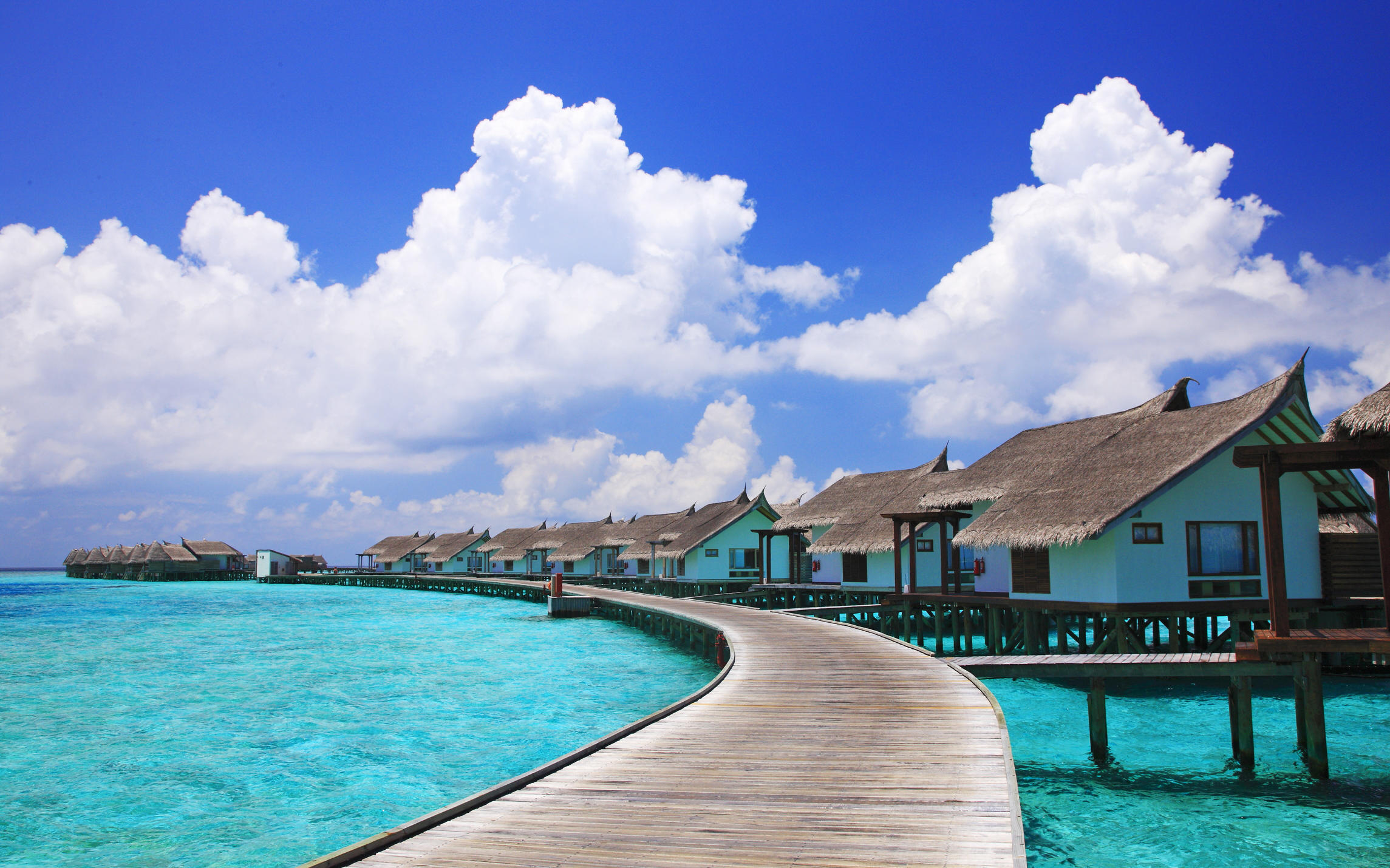 测试西安古城风光突然流行吃货新根懂根懂娘上线