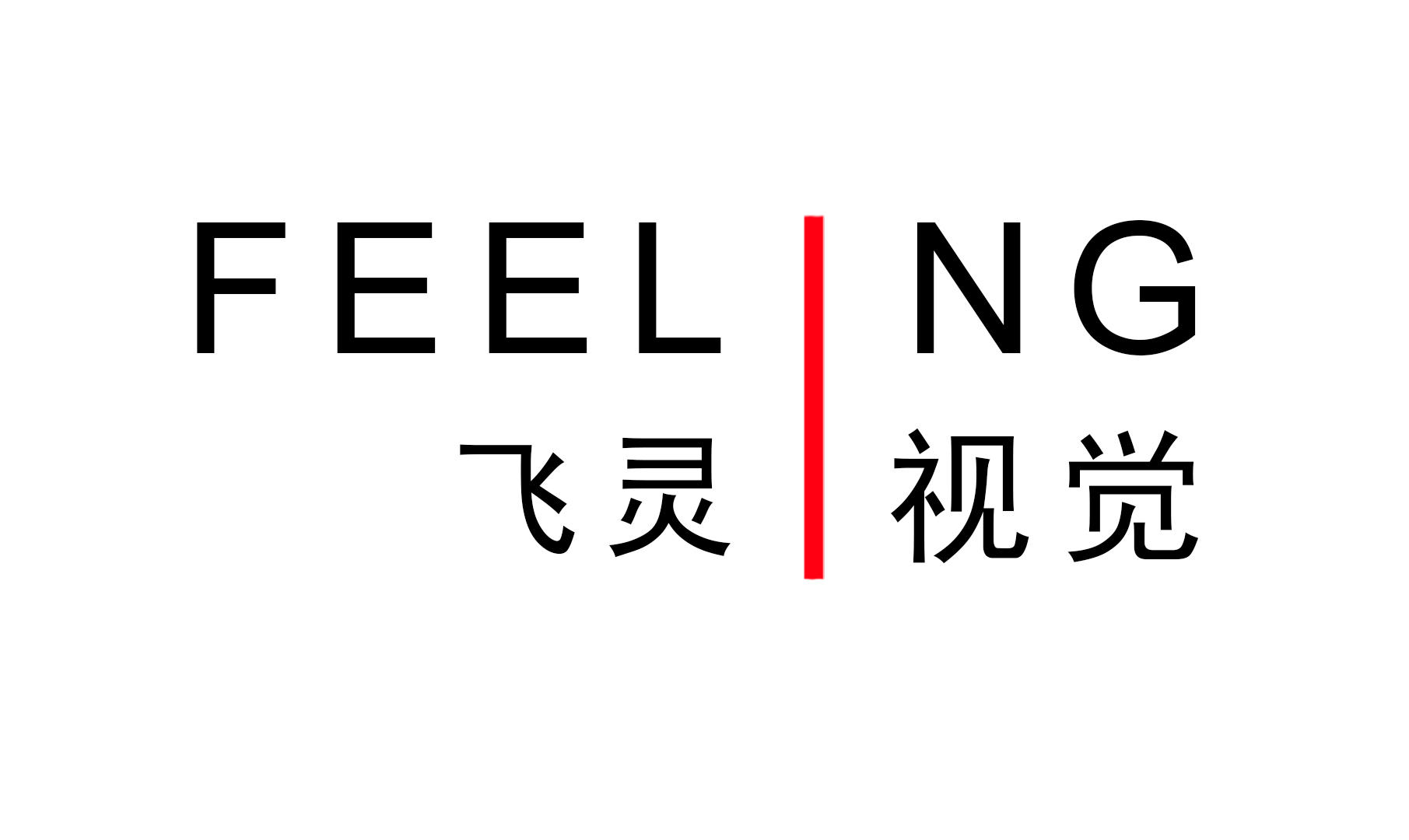 飛靈視覺