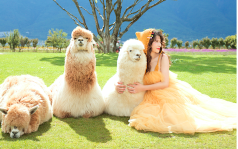 乐悠悠《抢购乐悠悠大理&丽江双城记》