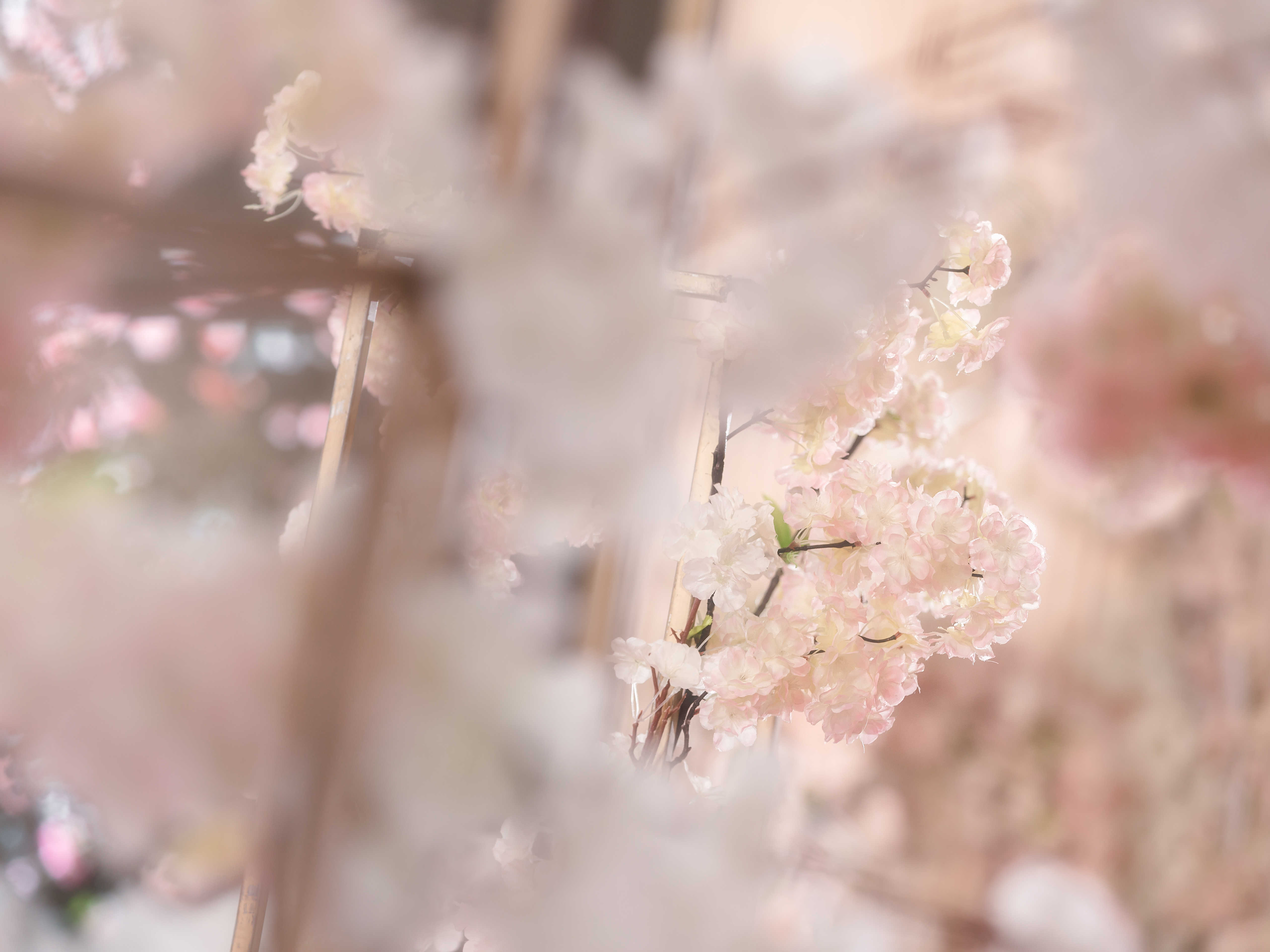 【爱尚你】韩式婚礼——昆山石浦喜事中心