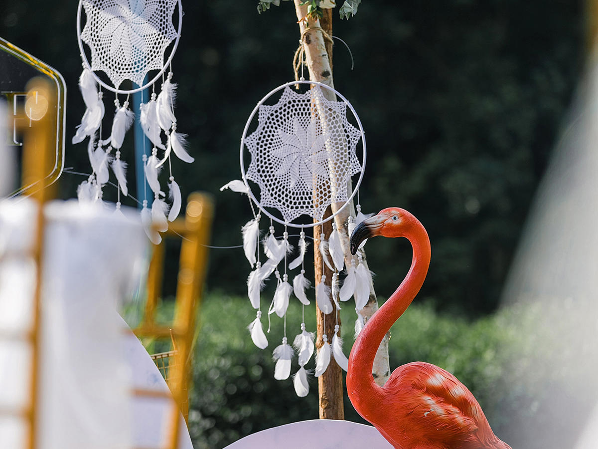 高性价比户外草坪婚礼 适合自家门口办