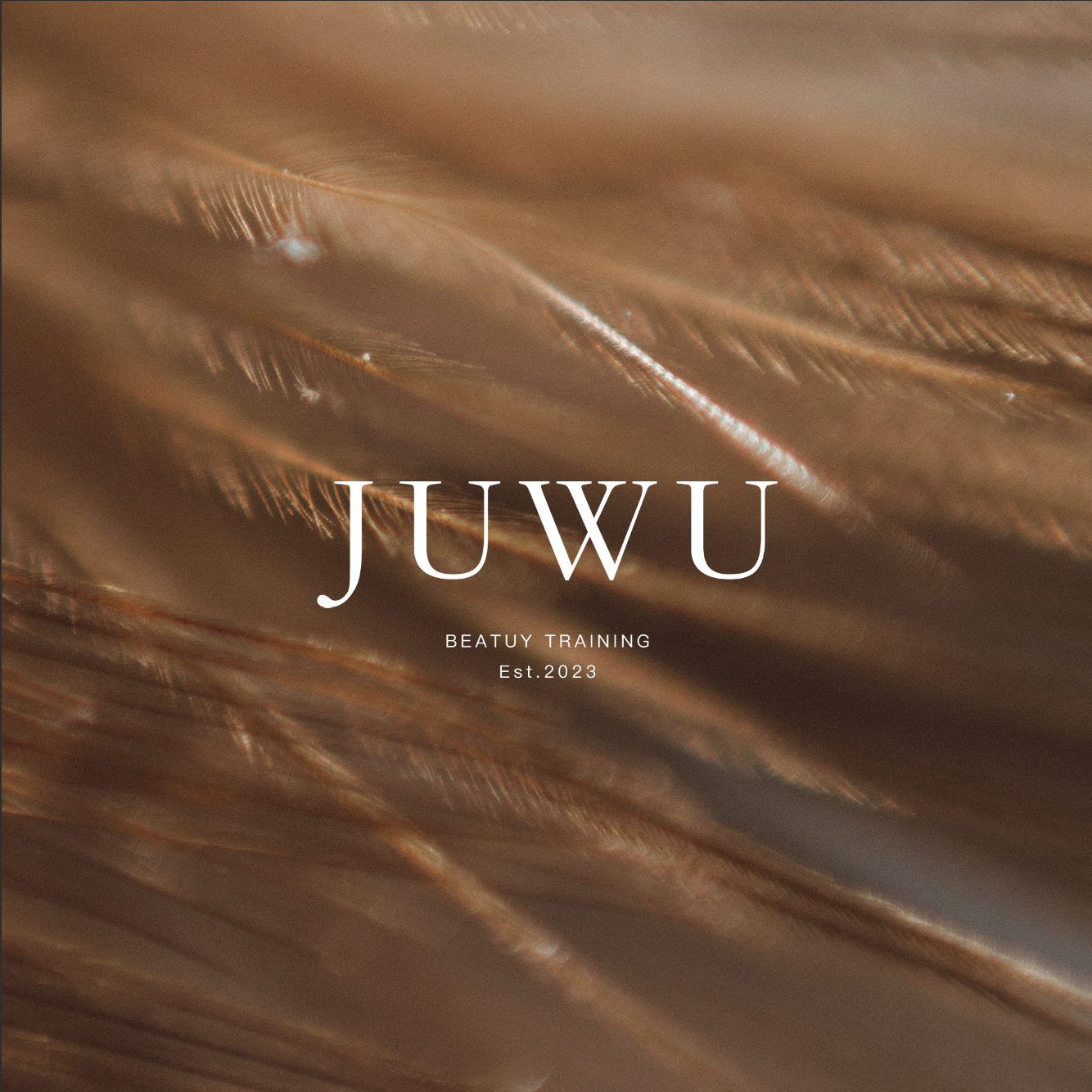 JUWU橘雾美妆