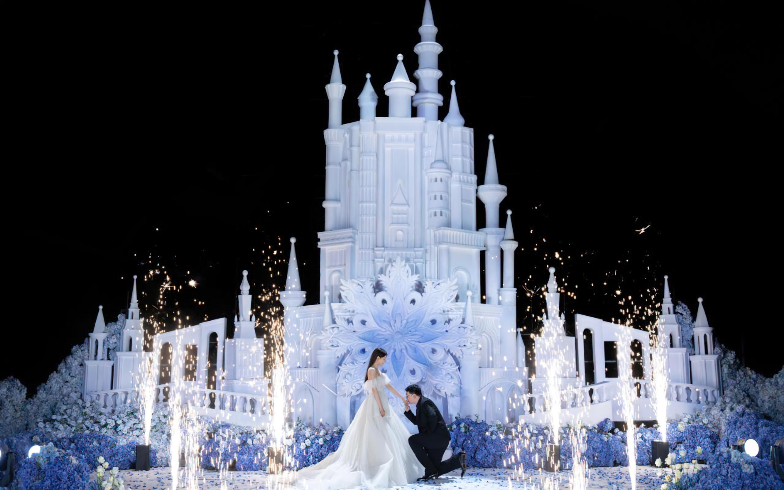 紅龍魚求婚圖片19