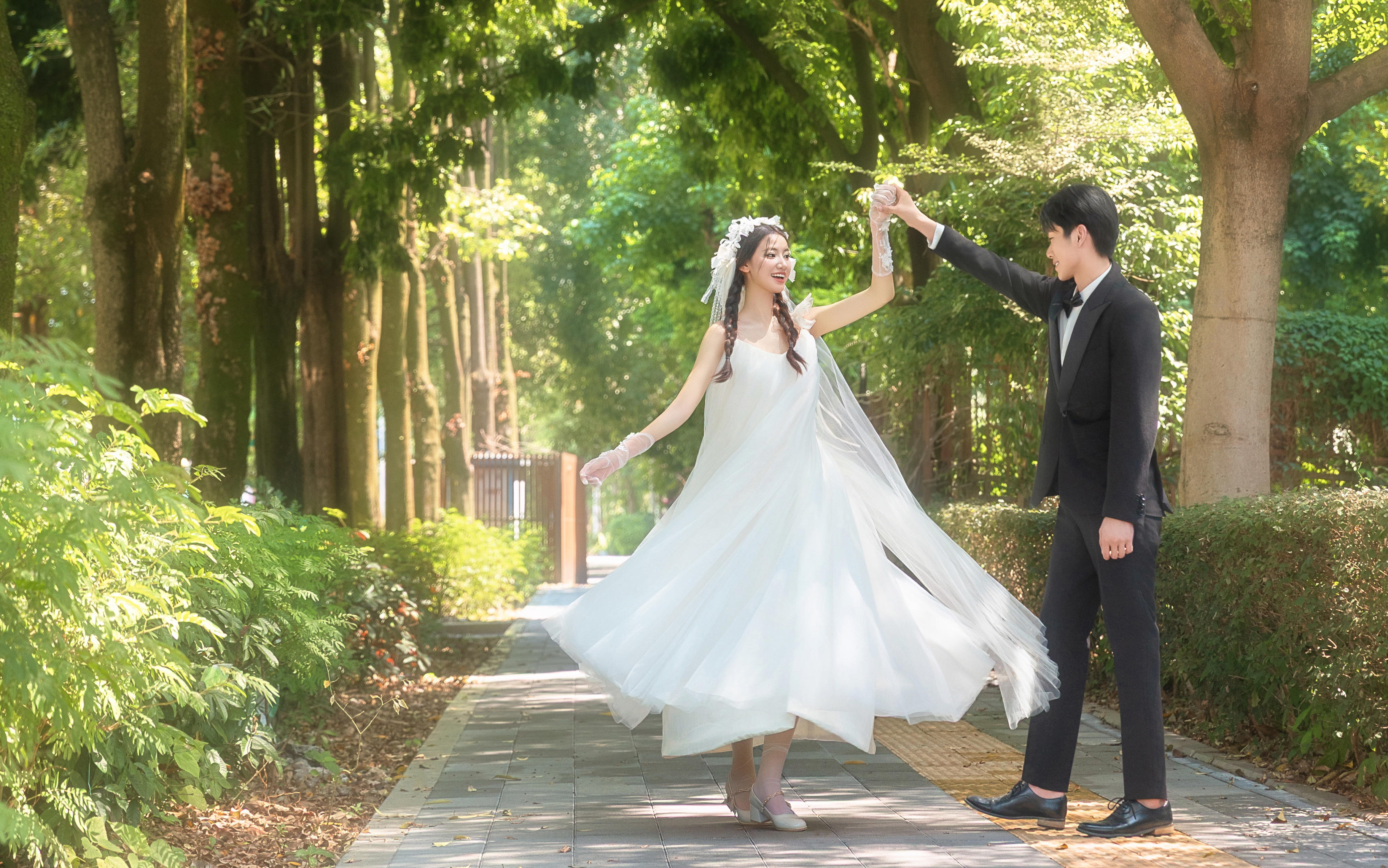 森之光 | 森系系列作品