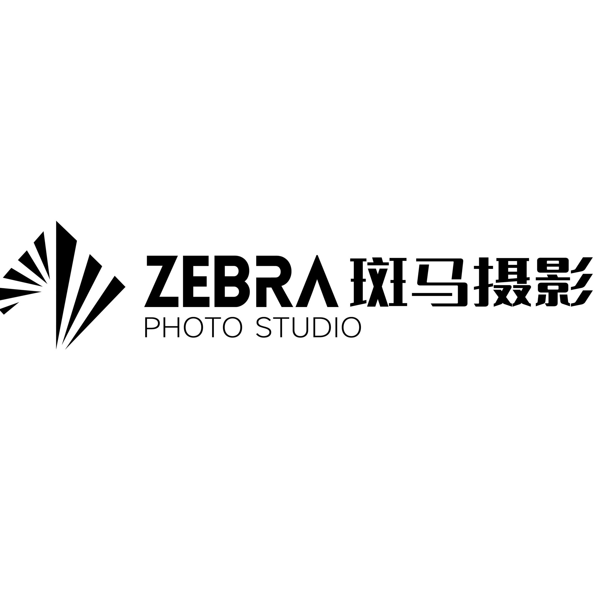 兰州斑马摄影