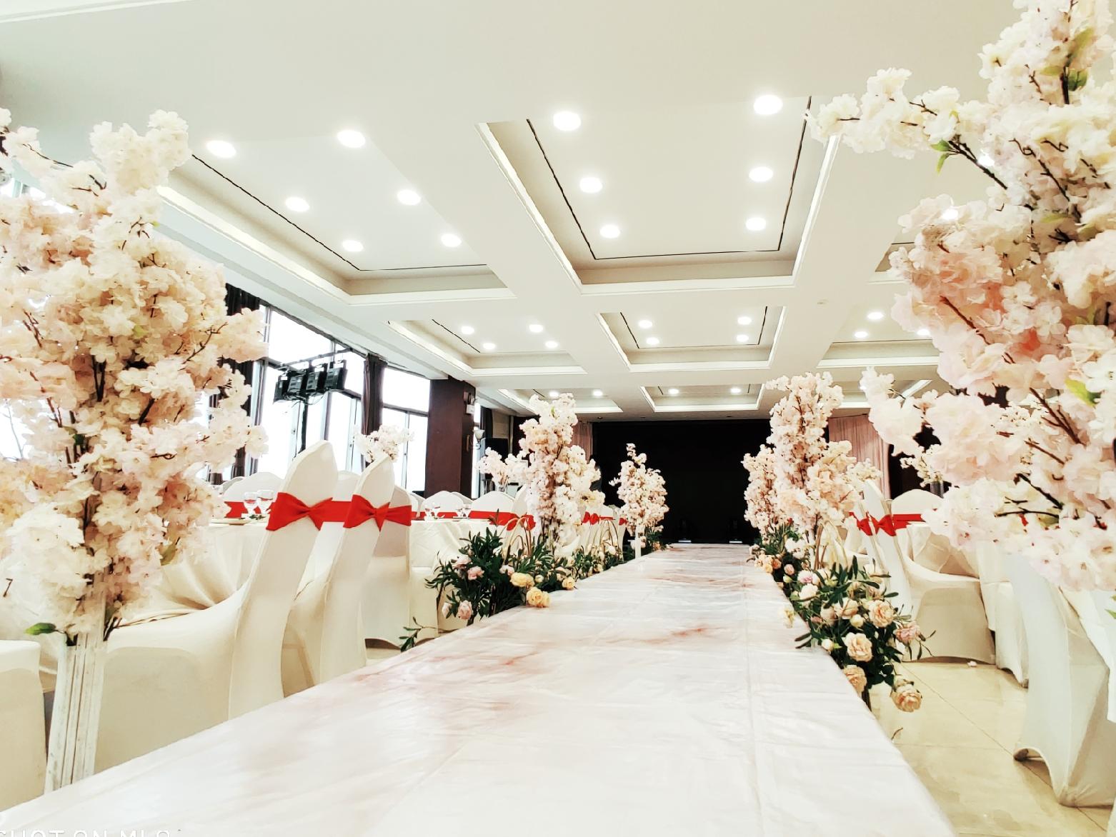 小清新淡粉色主题套系 （含主持人，摄像，节目）