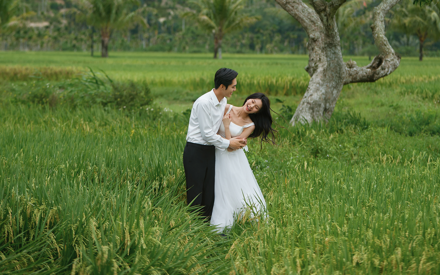 不用飛肯尼亞?三亞就能get網(wǎng)紅樹婚紗照