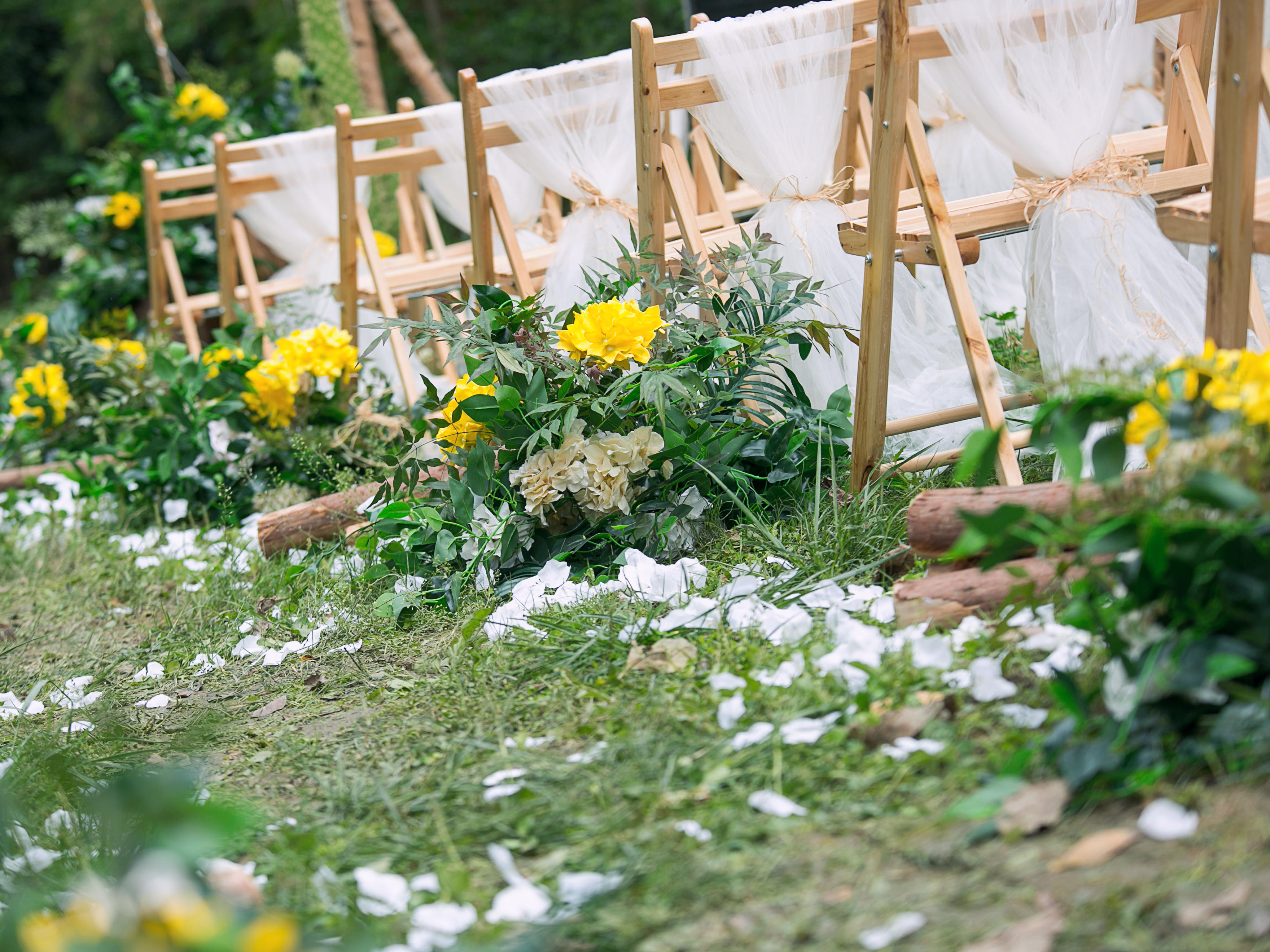 夏日精选柠檬黄小清新主题户外婚礼