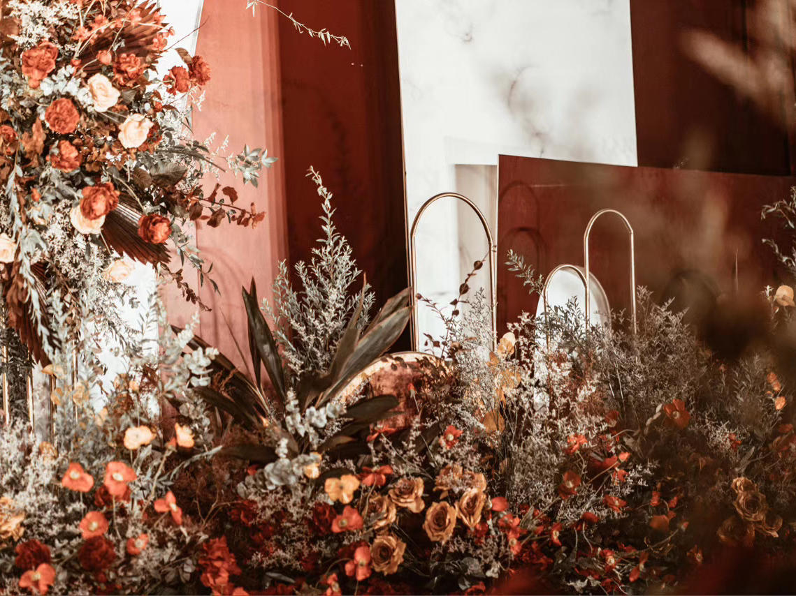 包含四大金刚 超热橙色藏橘色 特惠