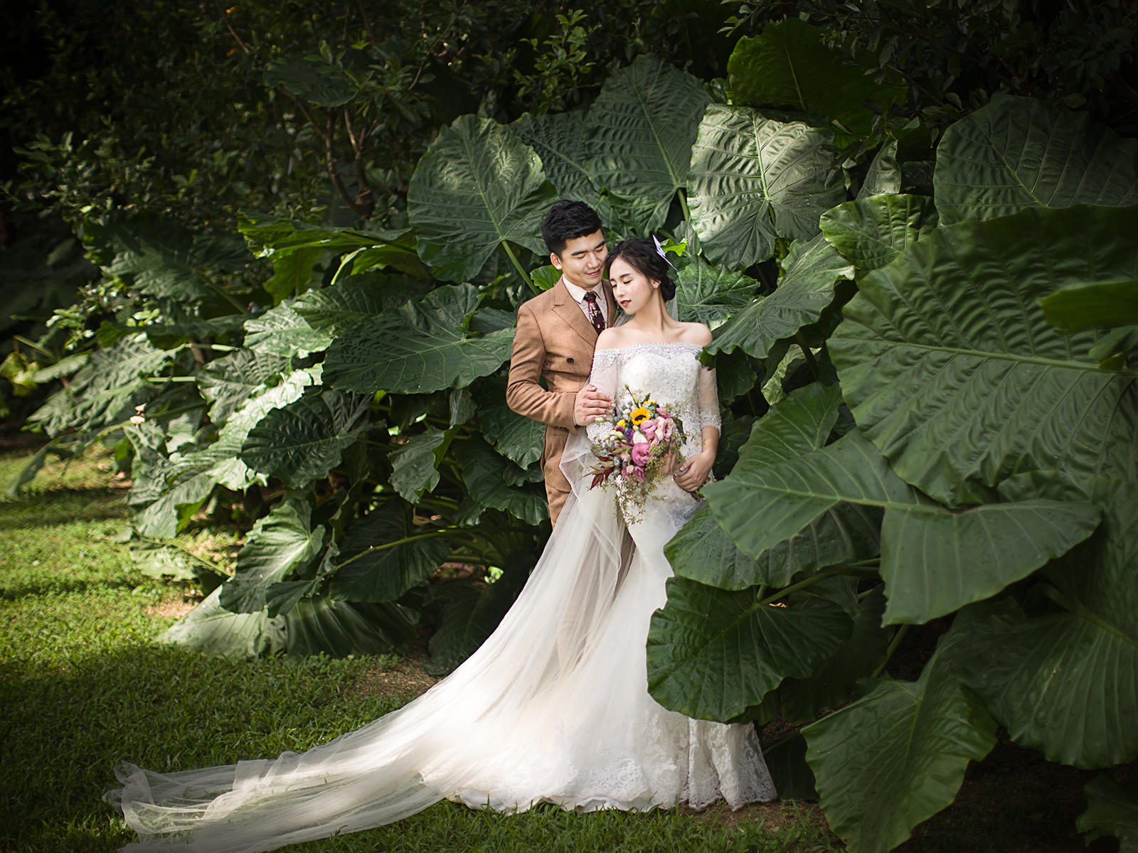 婚纱照清新_森系婚纱照图片小清新