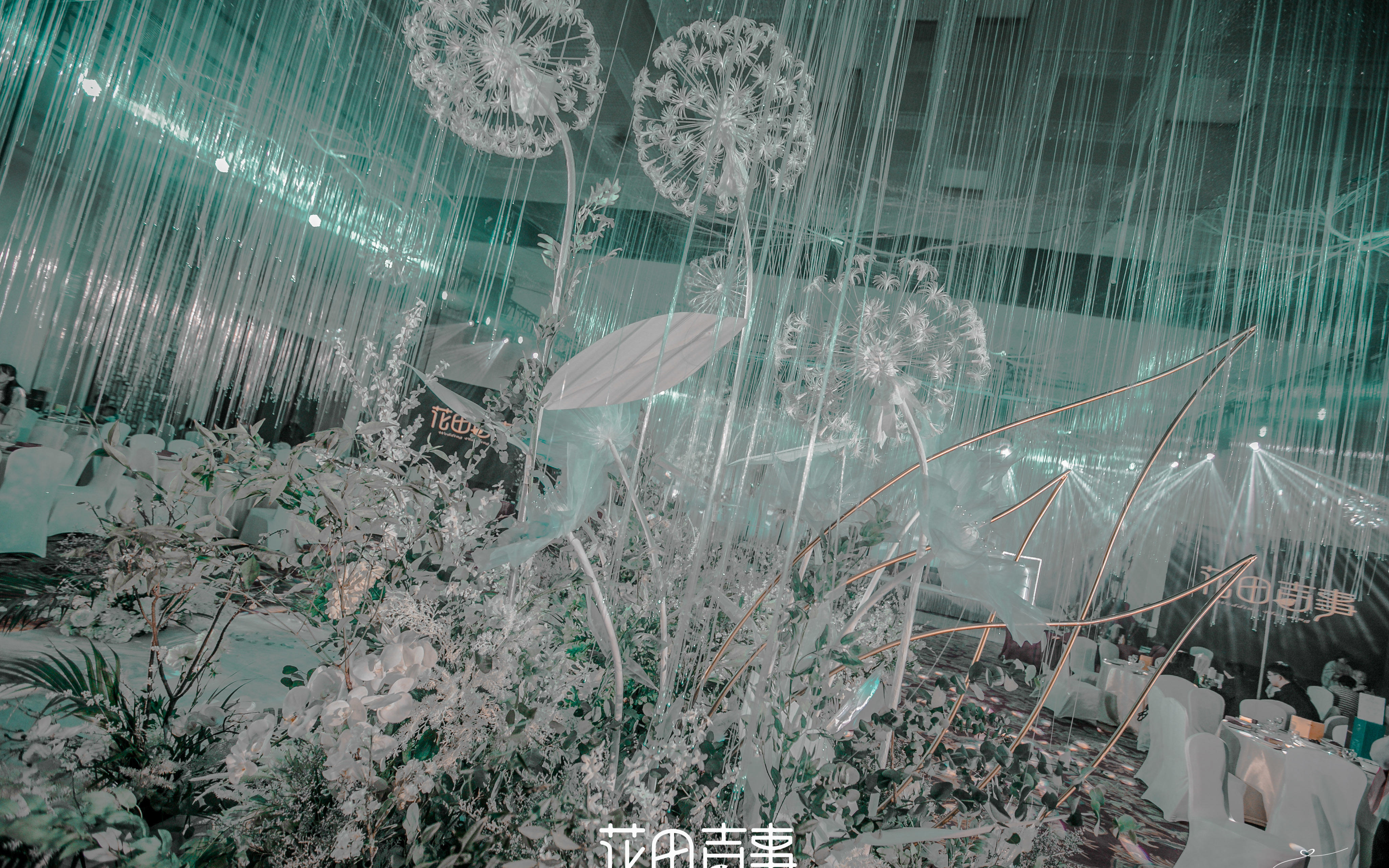 无法停留的爱为你停留  