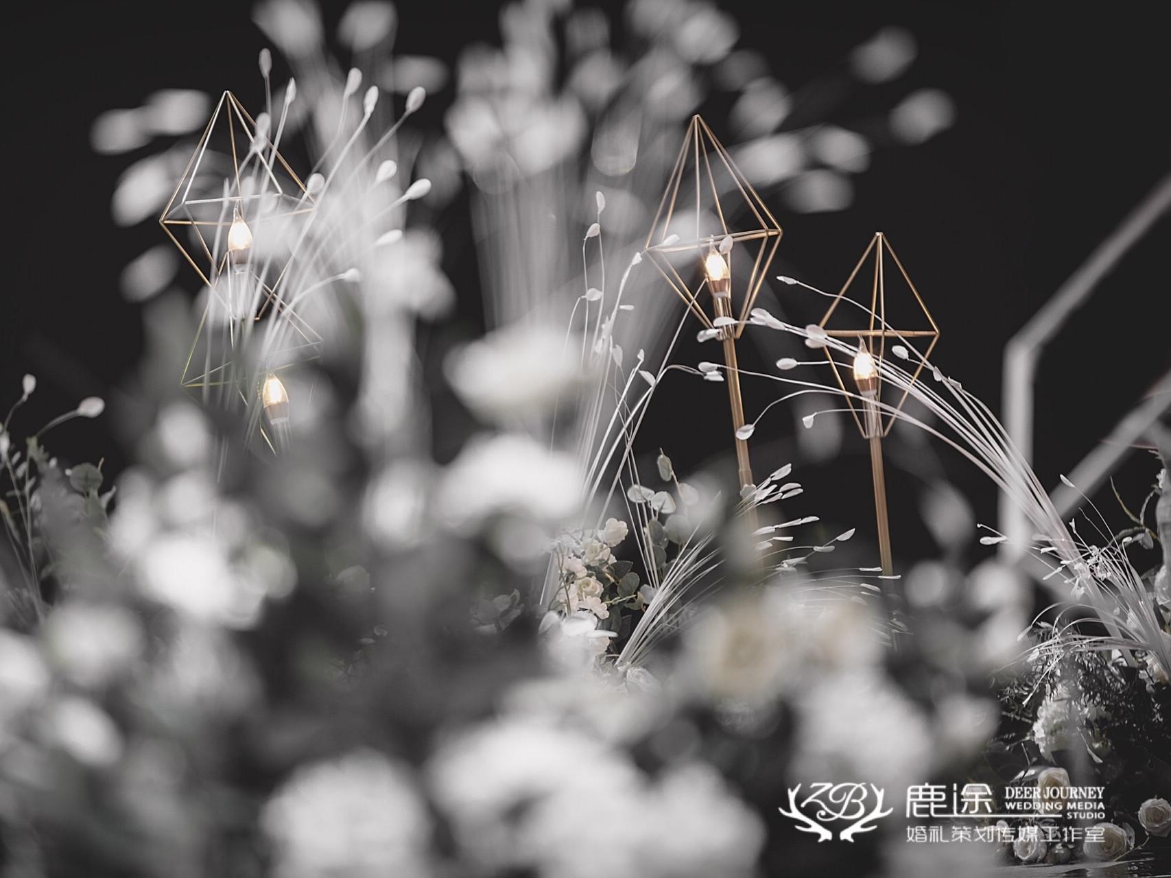 【鹿途】韩式高级灰气球主题婚礼