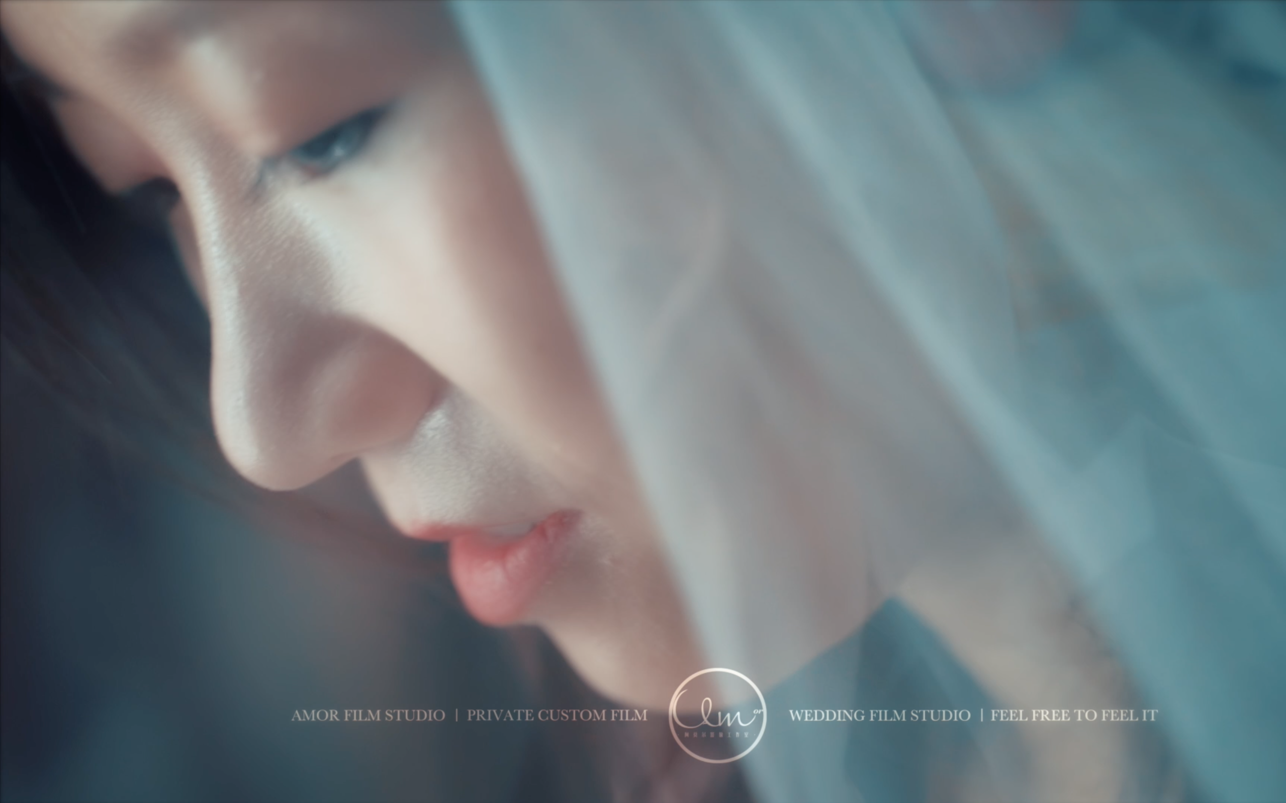 LXB + XX - 婚礼快剪（阿莫尔影像）