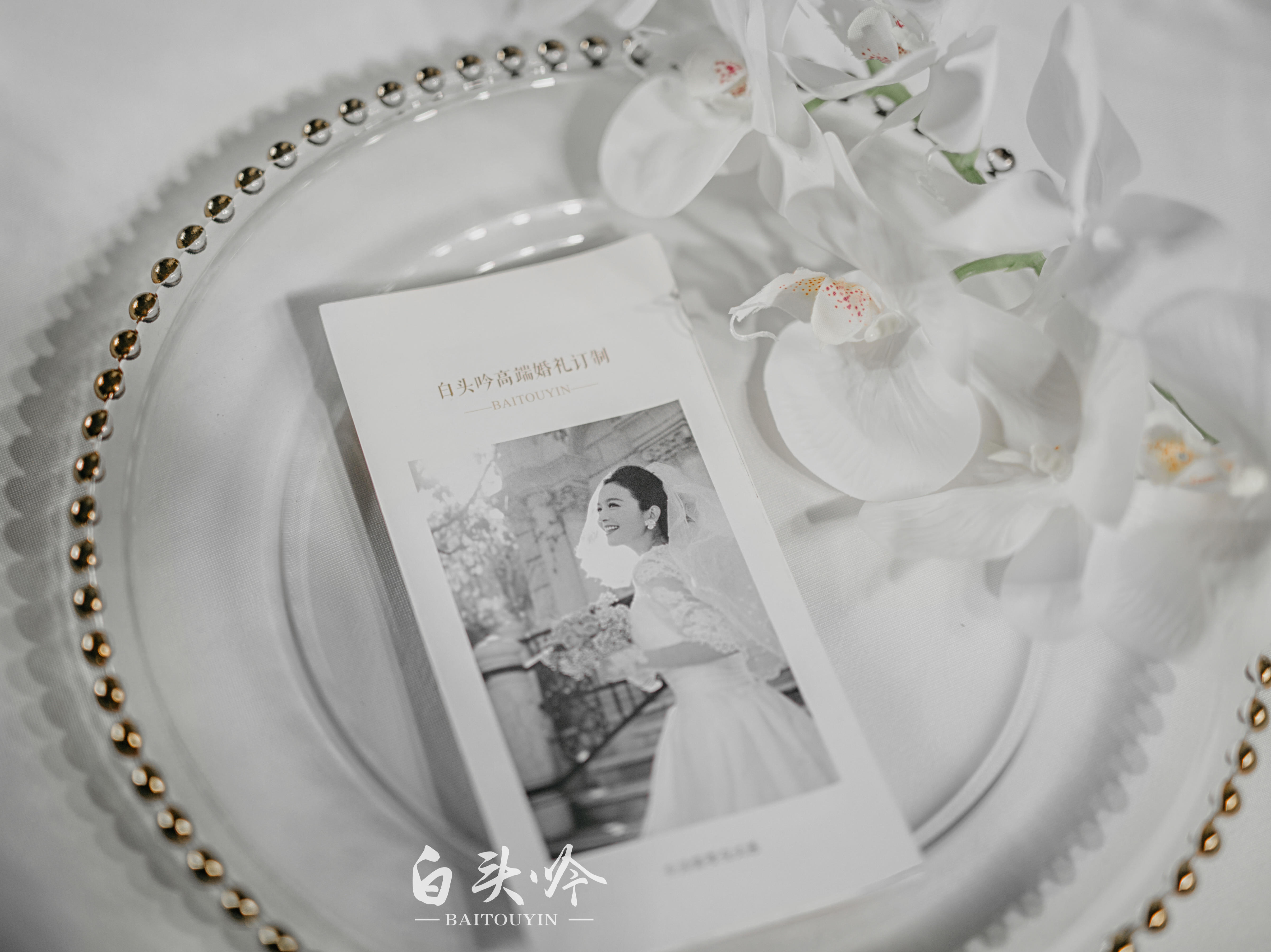 【白头吟】最初primary|惊鸿一瞥白绿色