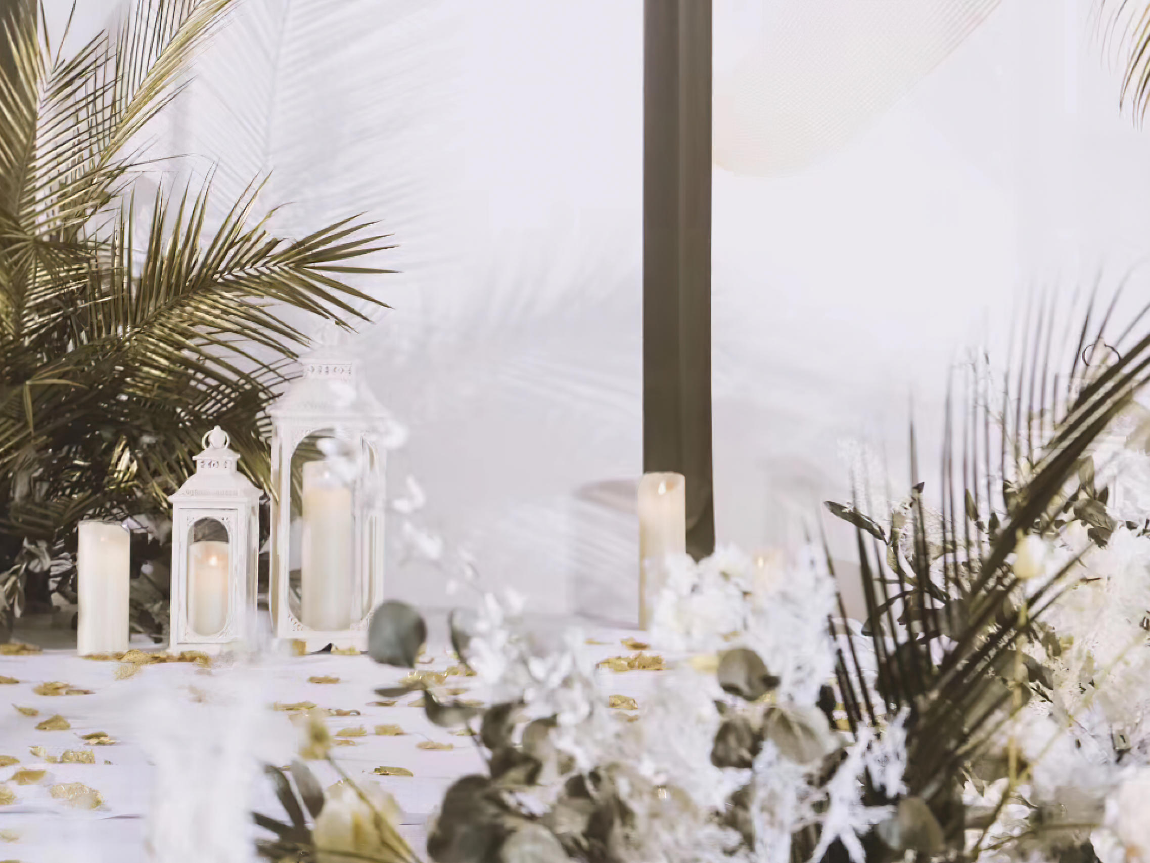 【美谊婚礼】超值大热·绿地公馆|小清新森系婚礼|