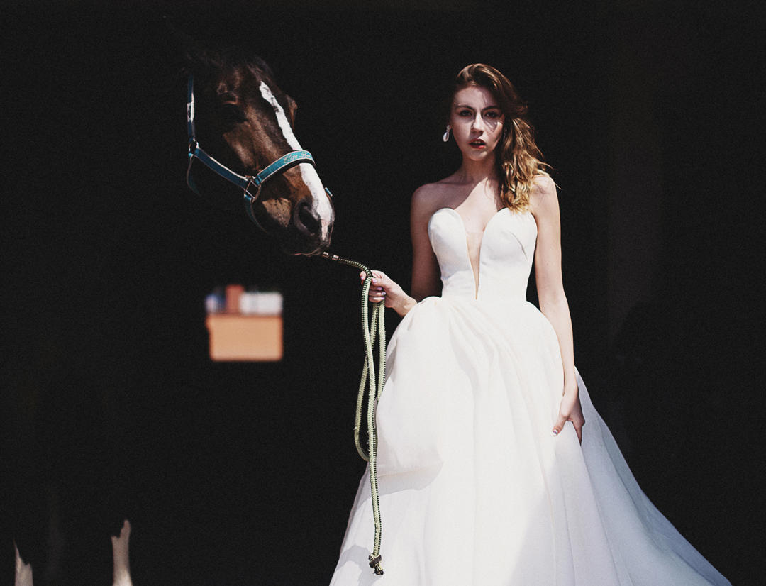 新年优惠设计师轻奢系列套餐