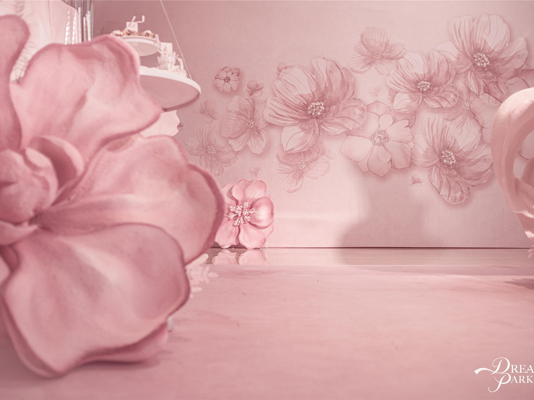 【DreamPark】真实婚礼|粉色系少女心