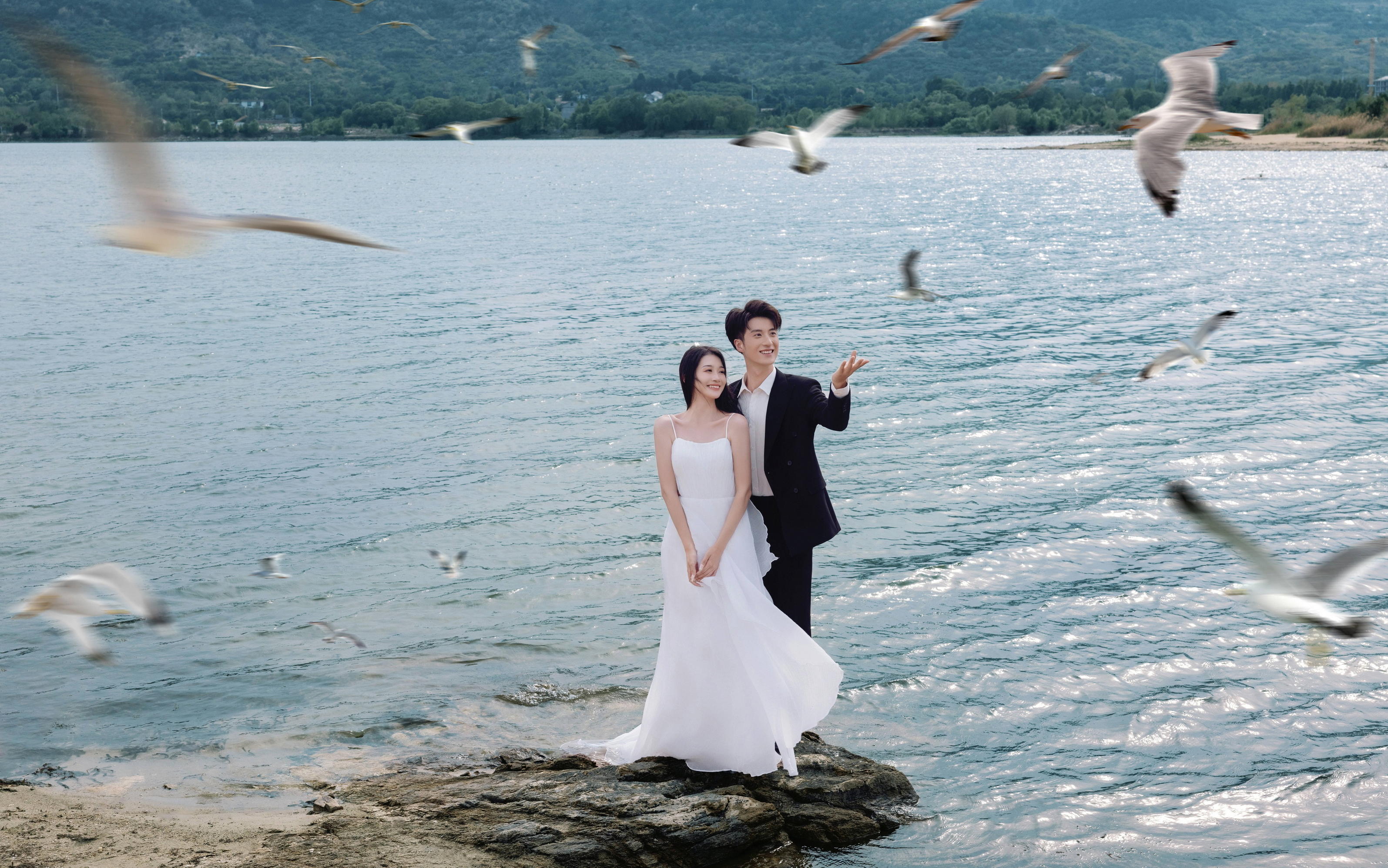 海鸥婚纱照 海景婚纱照