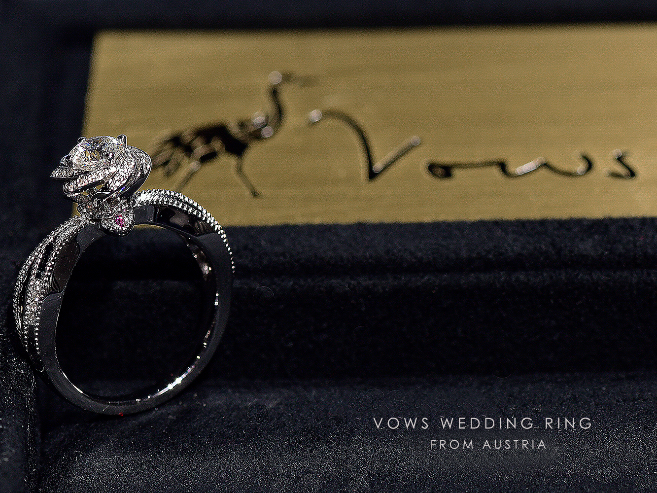 洛可可 - 誓言ONEVOWS&Co.