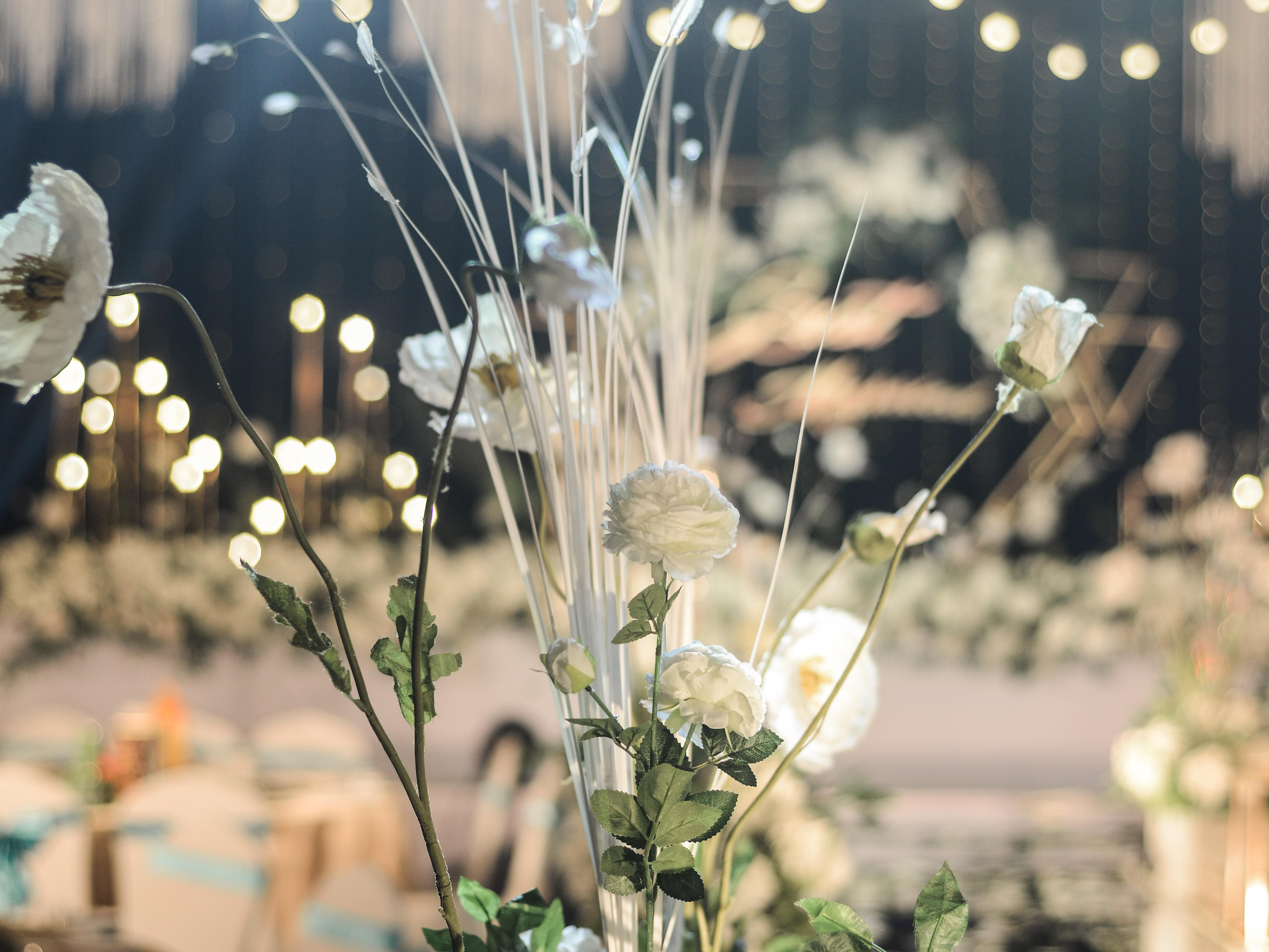 【不夜森林】幽静白绿系，韩式大气感