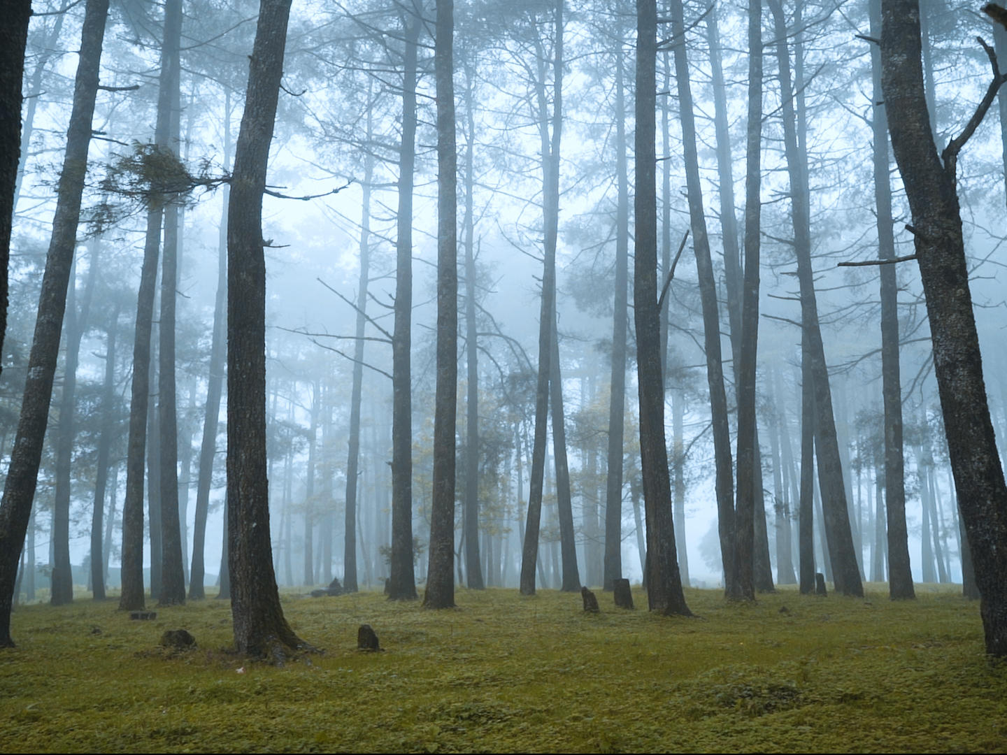 精美婚礼旅拍MV（电影感）