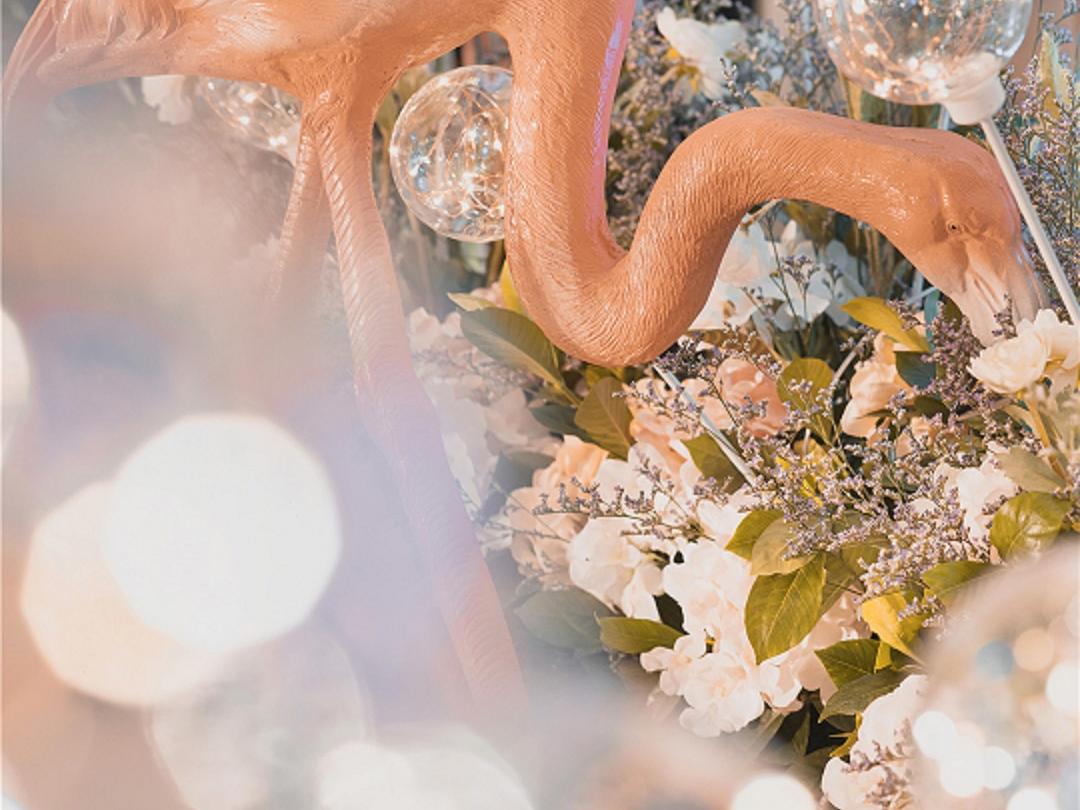 具有大气  高端的香槟色