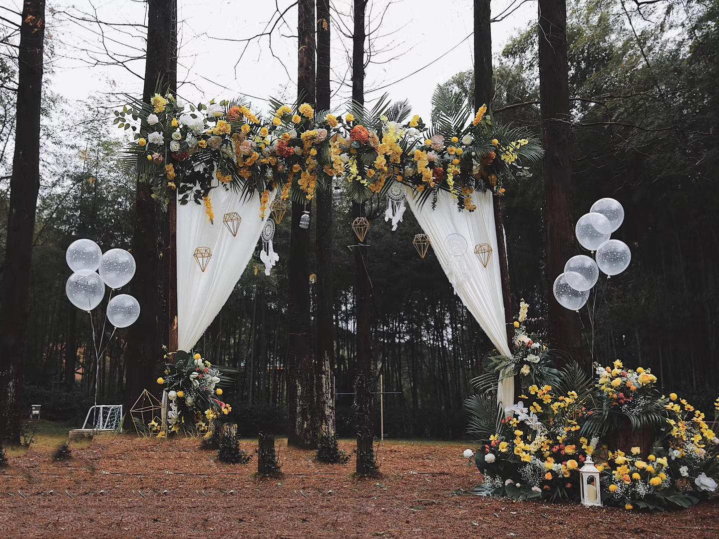 【量身定做 声入人心】户外仪式+晚宴主持人慕可