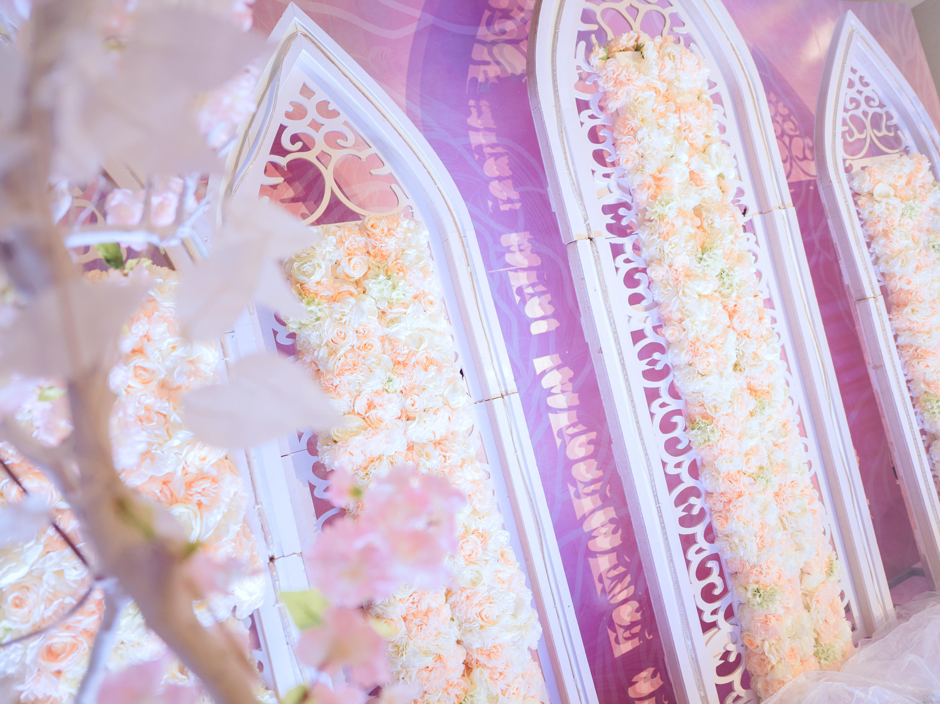 爱的真谛【浪漫花季】内含司仪摄像跟妆