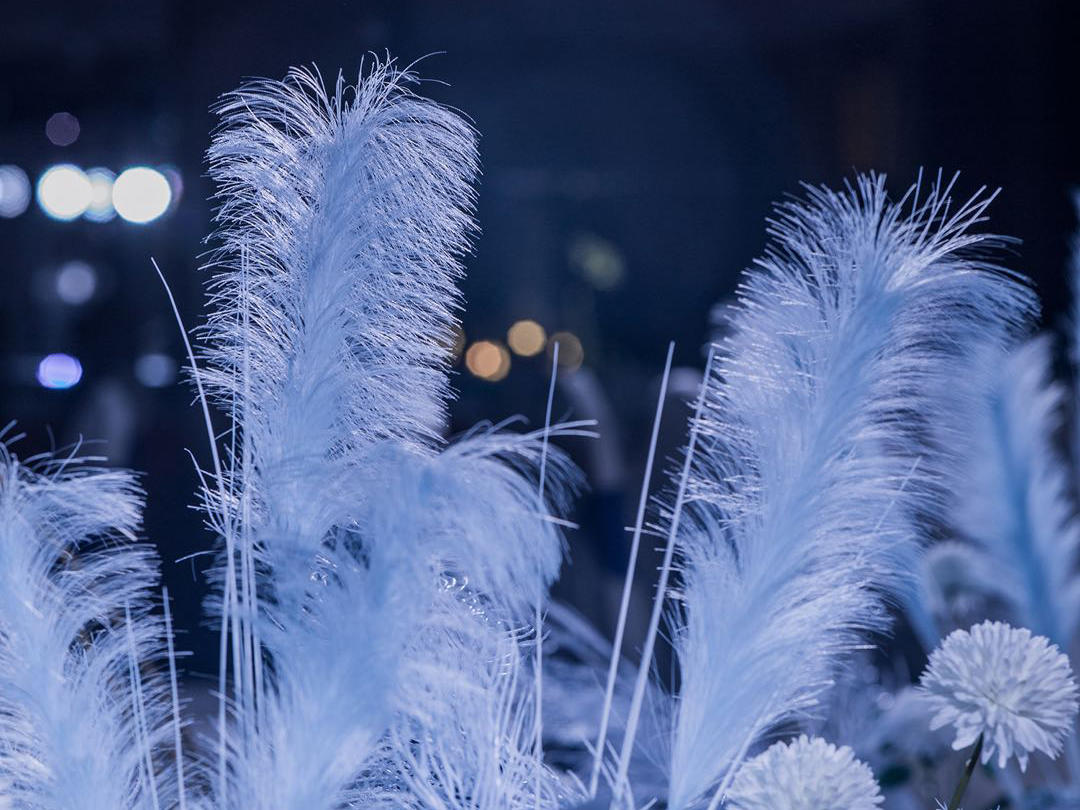 【爱尚百年】超高性价比 梦枕星河 梦幻婚礼