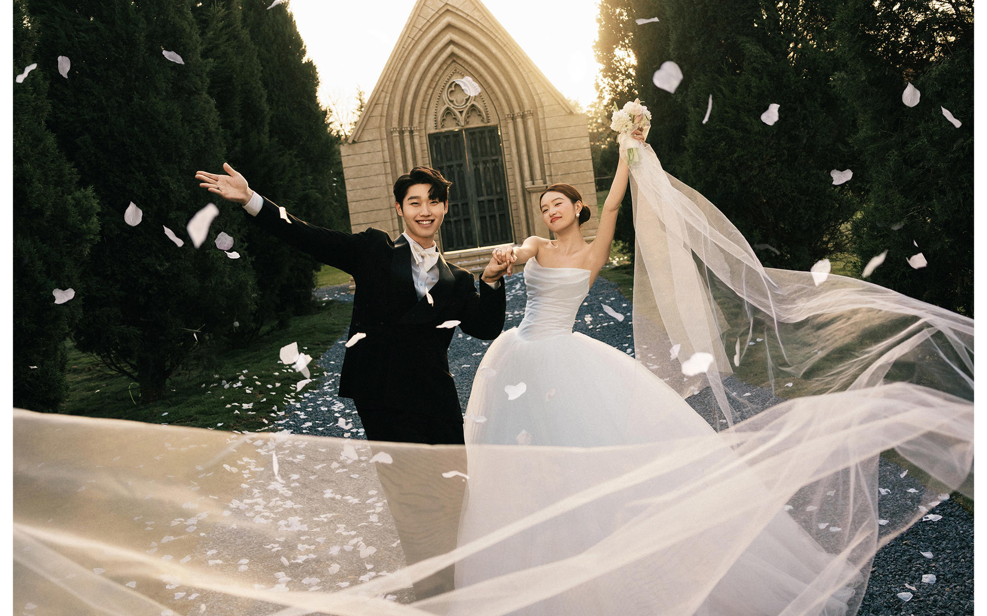 逆光下的花瓣飄紗太有生命力（白晝森林）